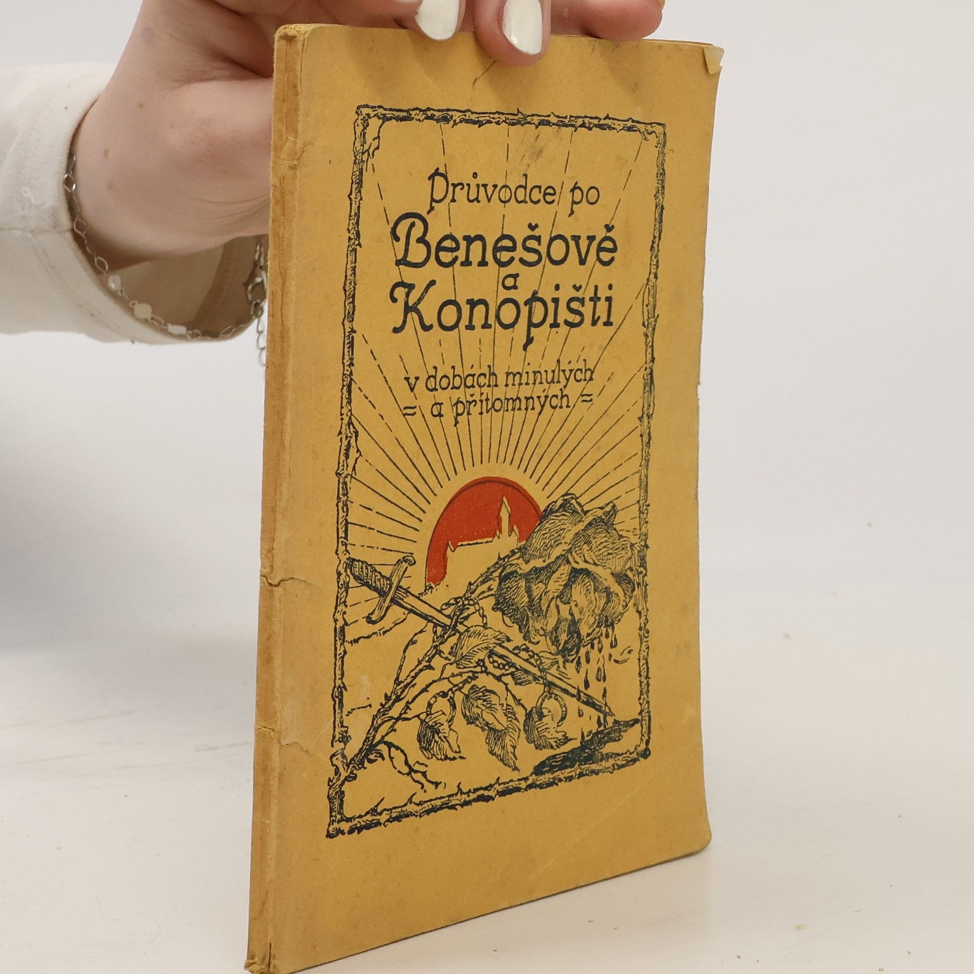 Kolektiv autorů Průvodce po Benešově, Konopišti a okolí