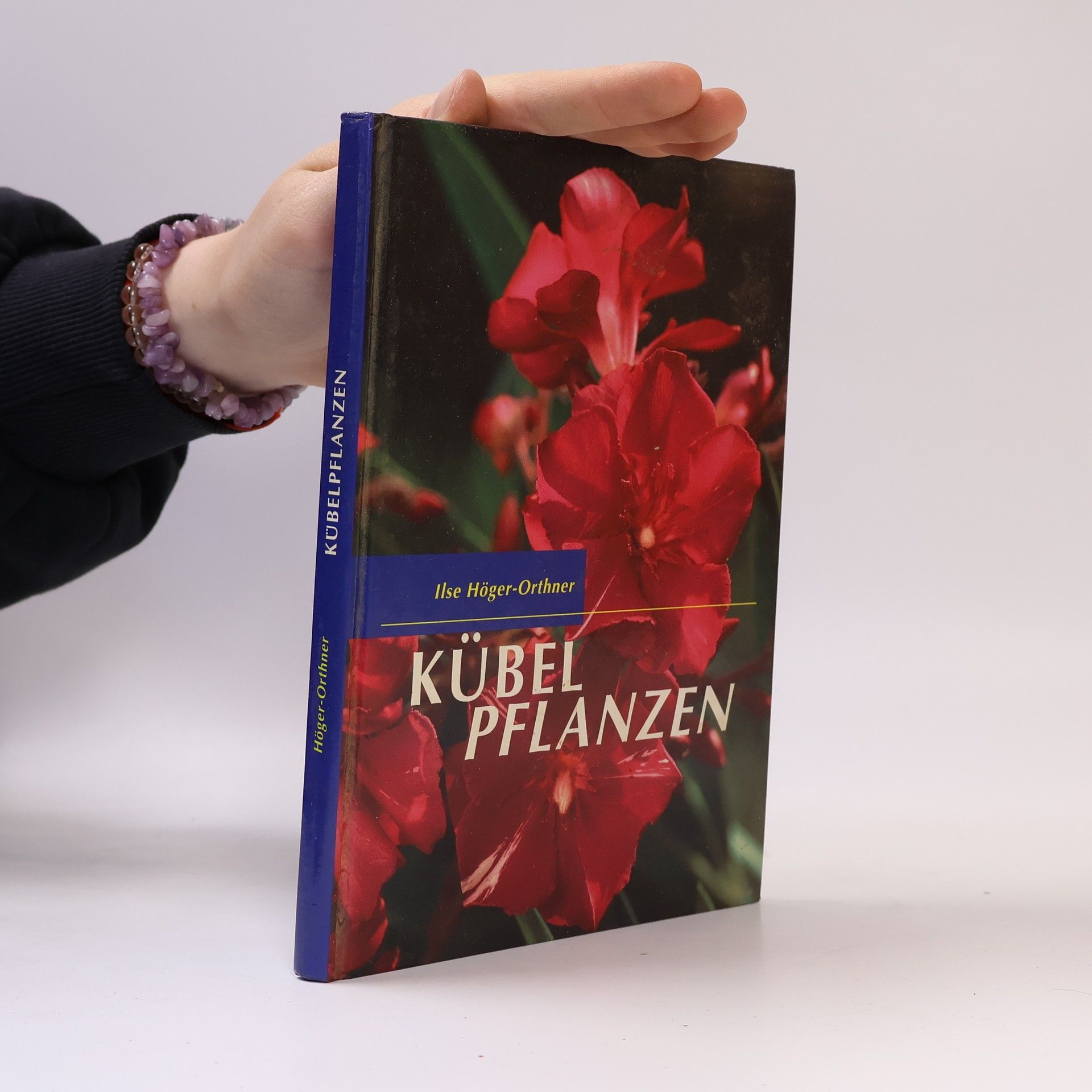 Ilse Höger-Orthner Kübelpflanzen