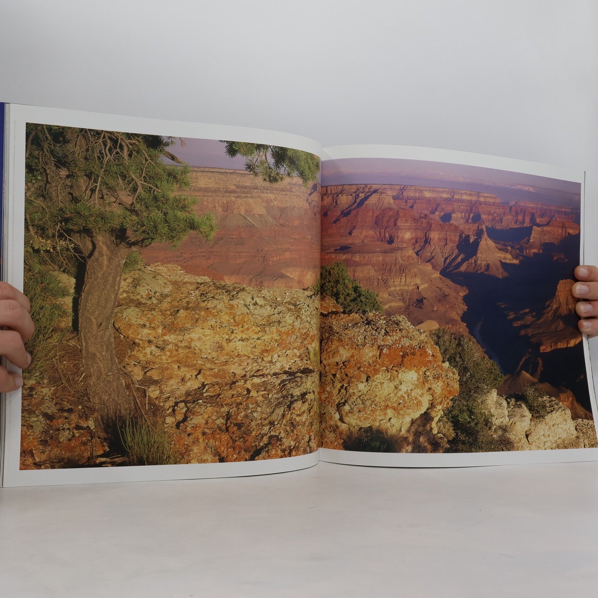 Susan Lamb Grand Canyon: The Vault of Heaven