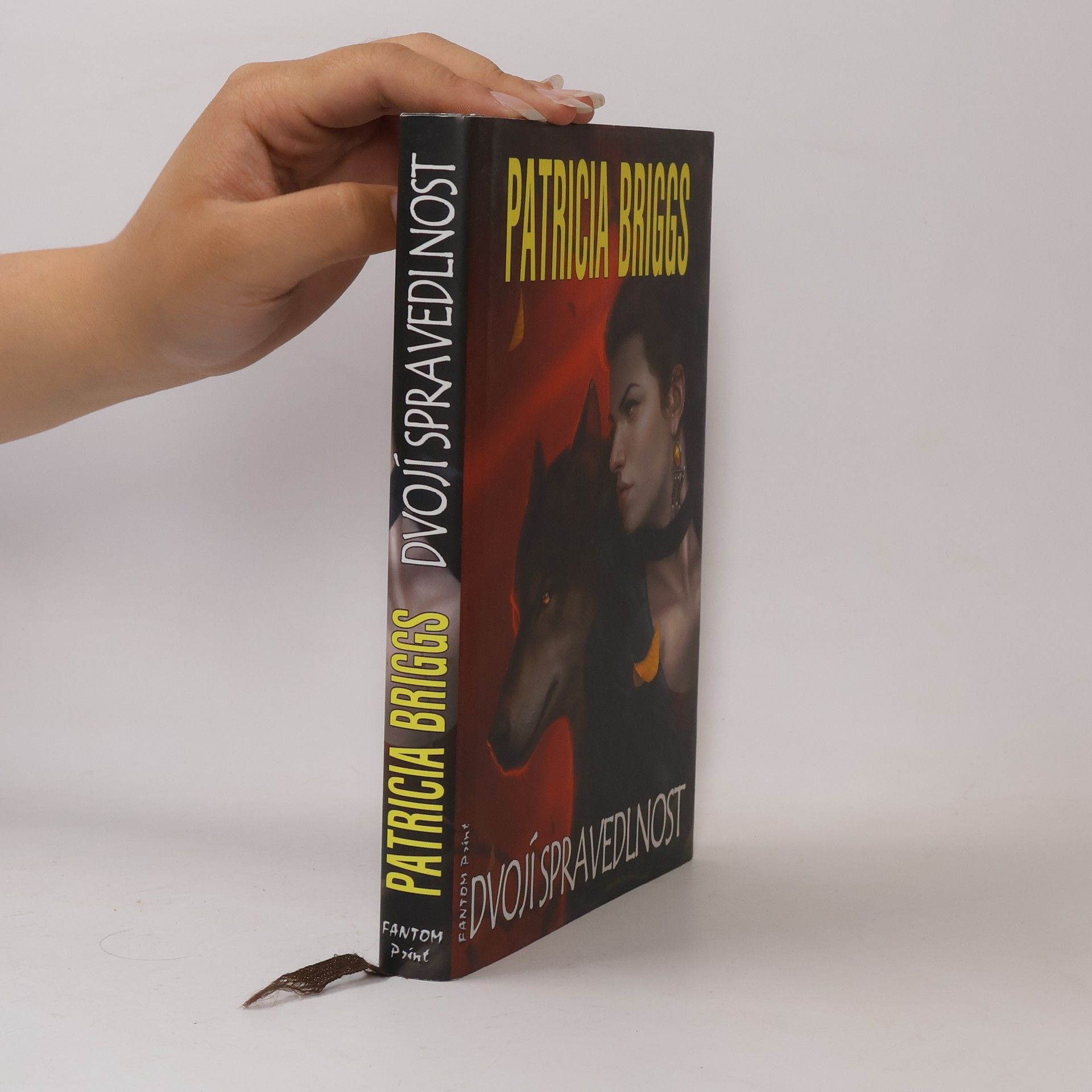 Patricia Briggs Dvojí spravedlnost