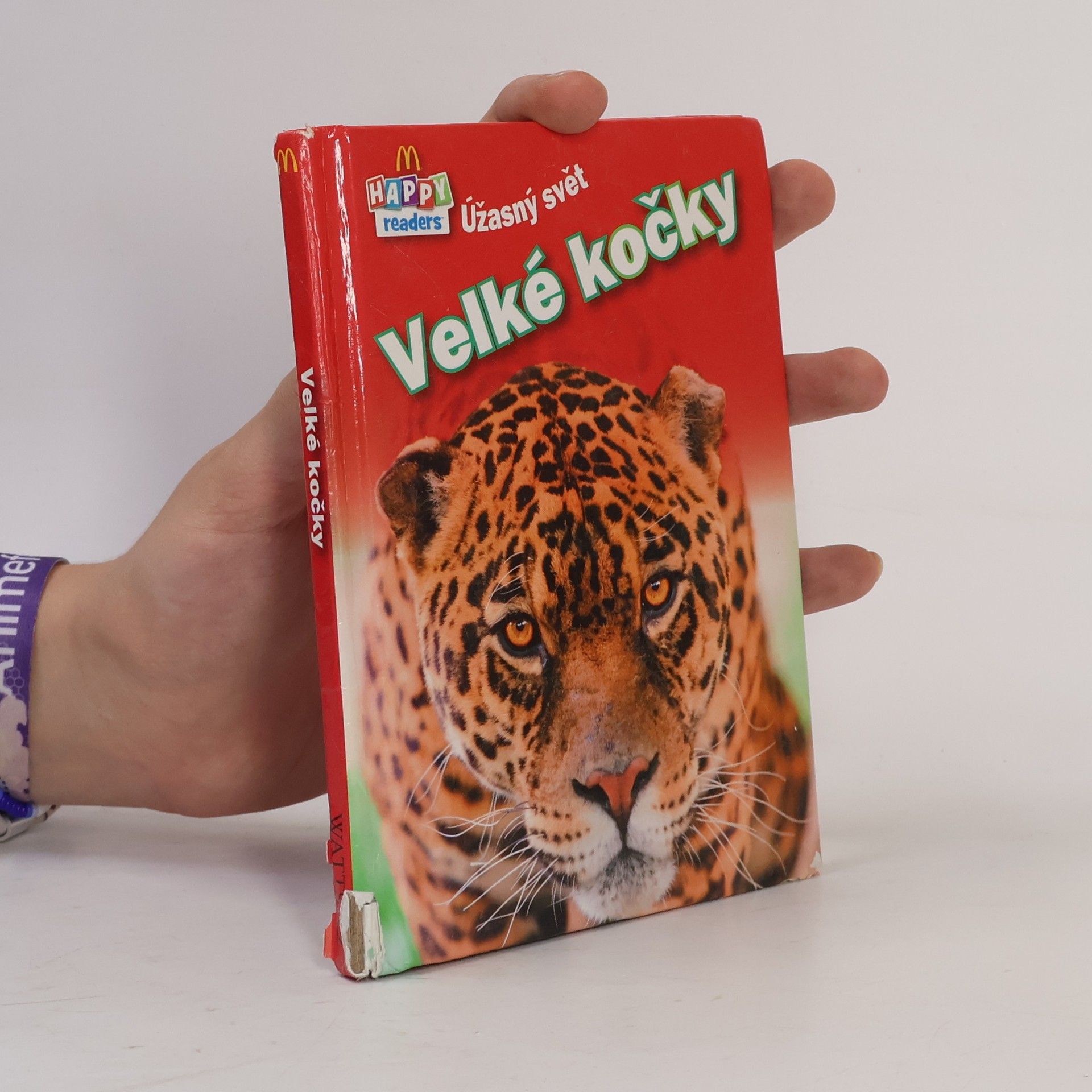 Autorenkollektiv Velké kočky