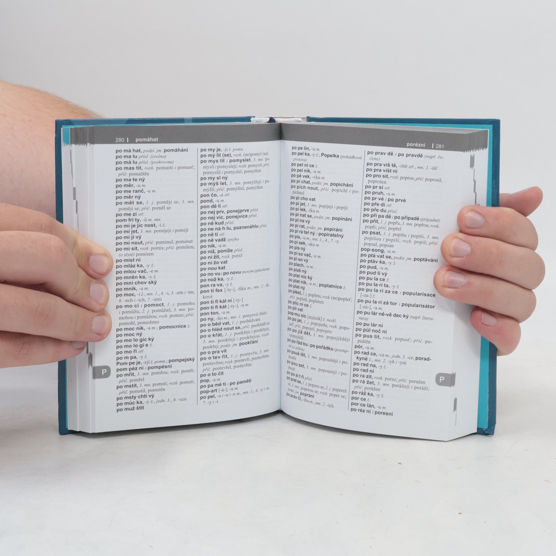 Various authors Pravidla českého pravopisu