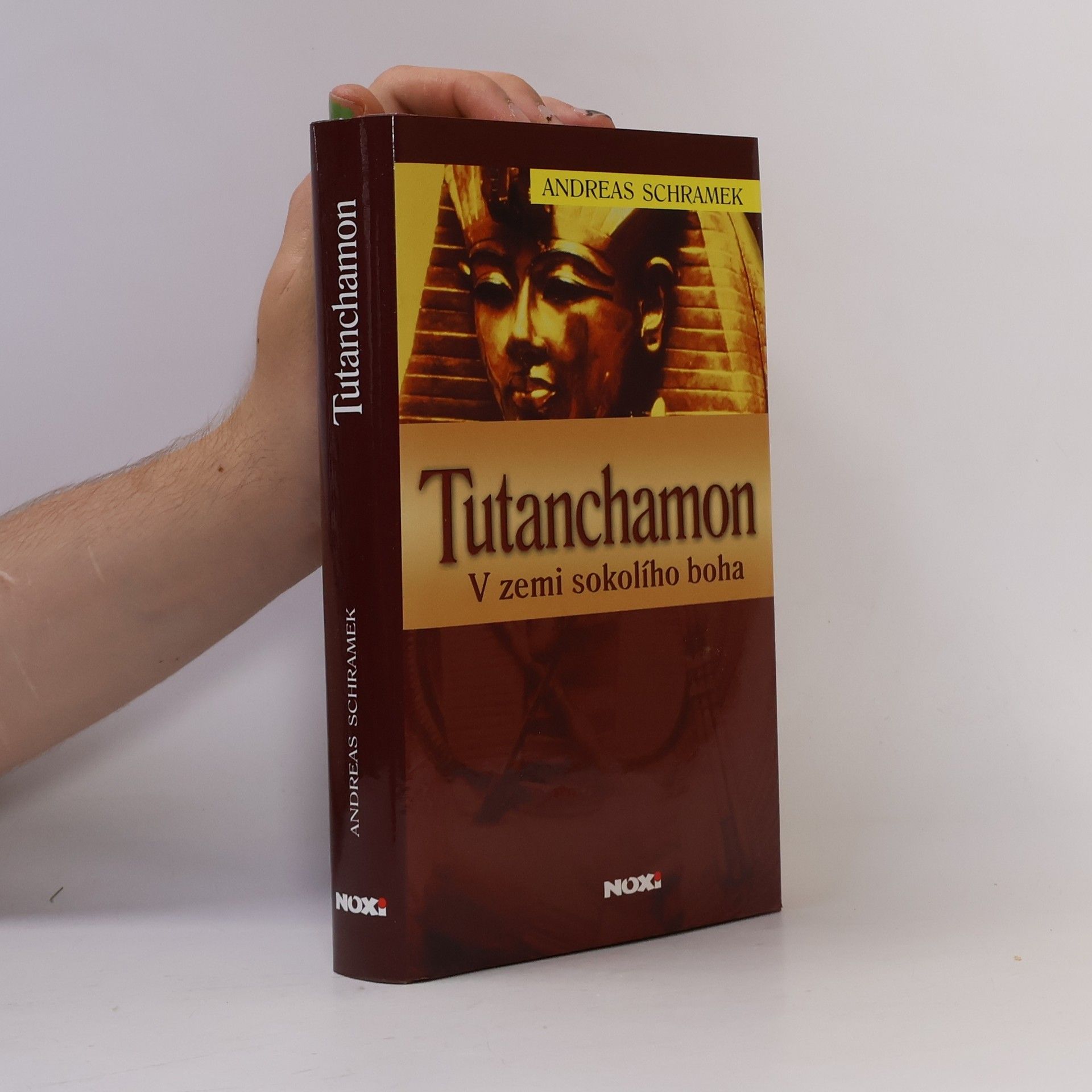 Andreas Schramek Tutanchamon: V zemi sokolího boha
