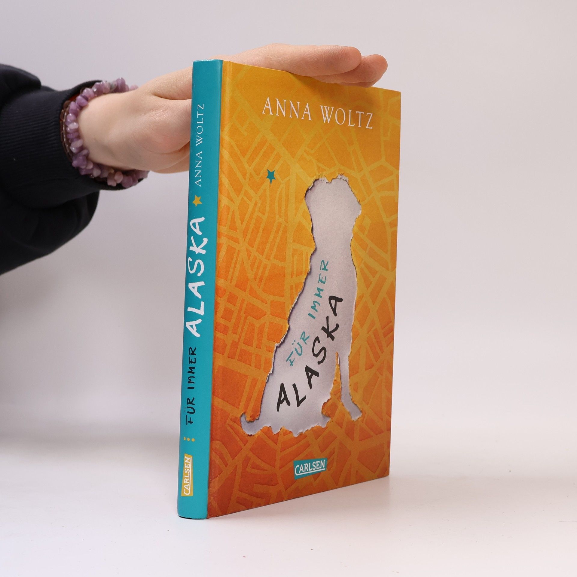 Anna Woltz Für immer Alaska
