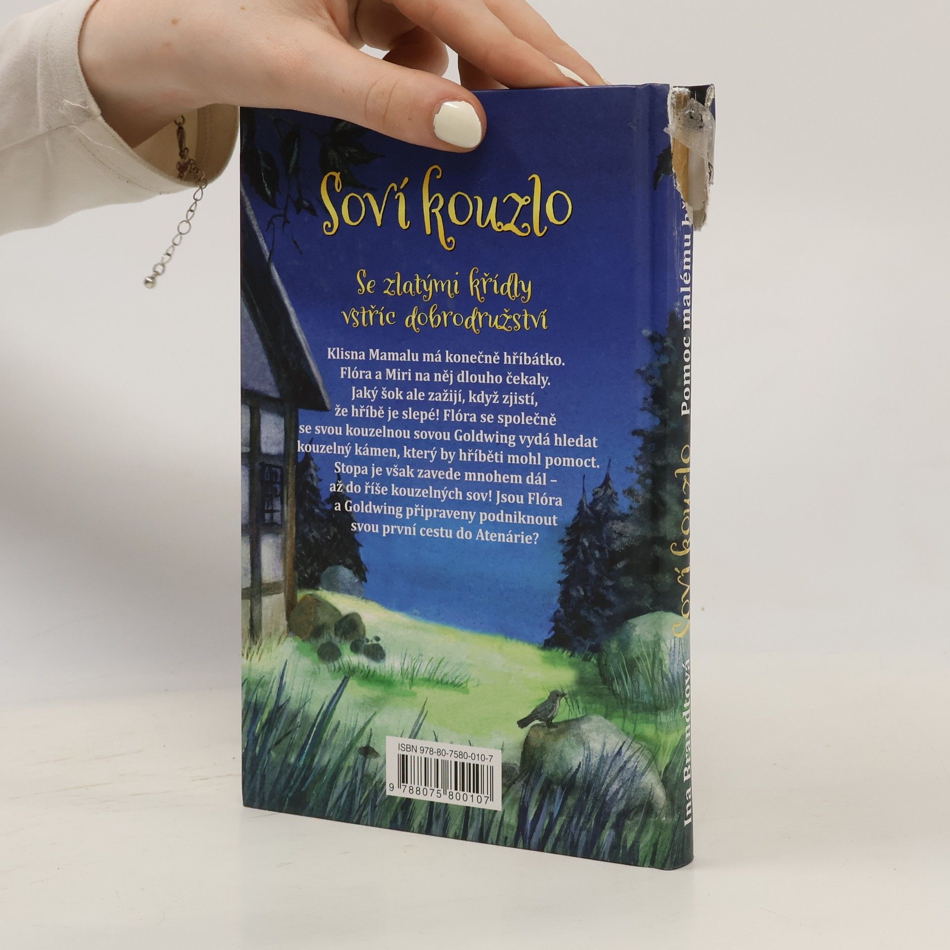 Ina Brandt Soví kouzlo. Pomoc malému hříbátku