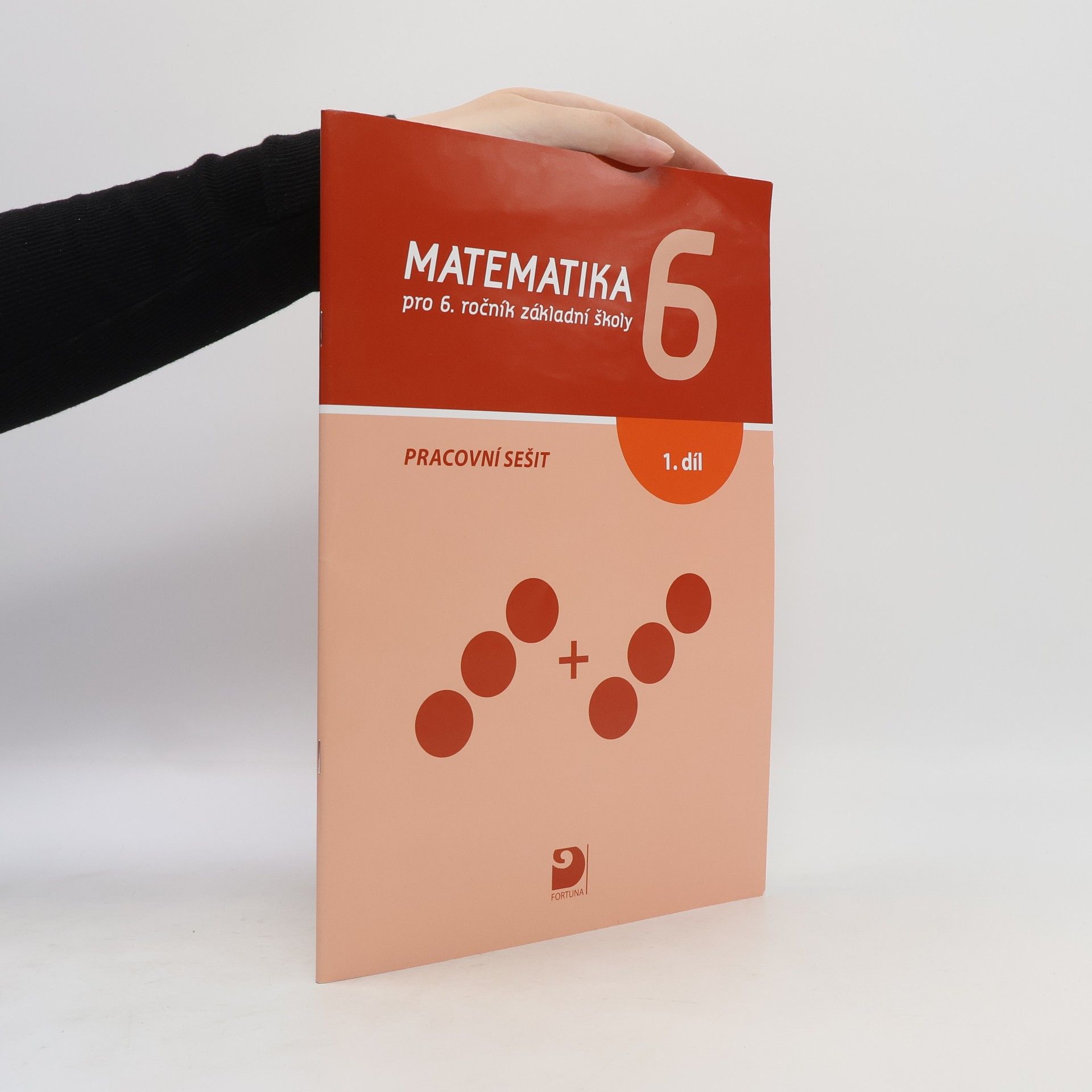 Matematika 6 pro 6. ročník základní školy: Pracovní sešit 1. díl