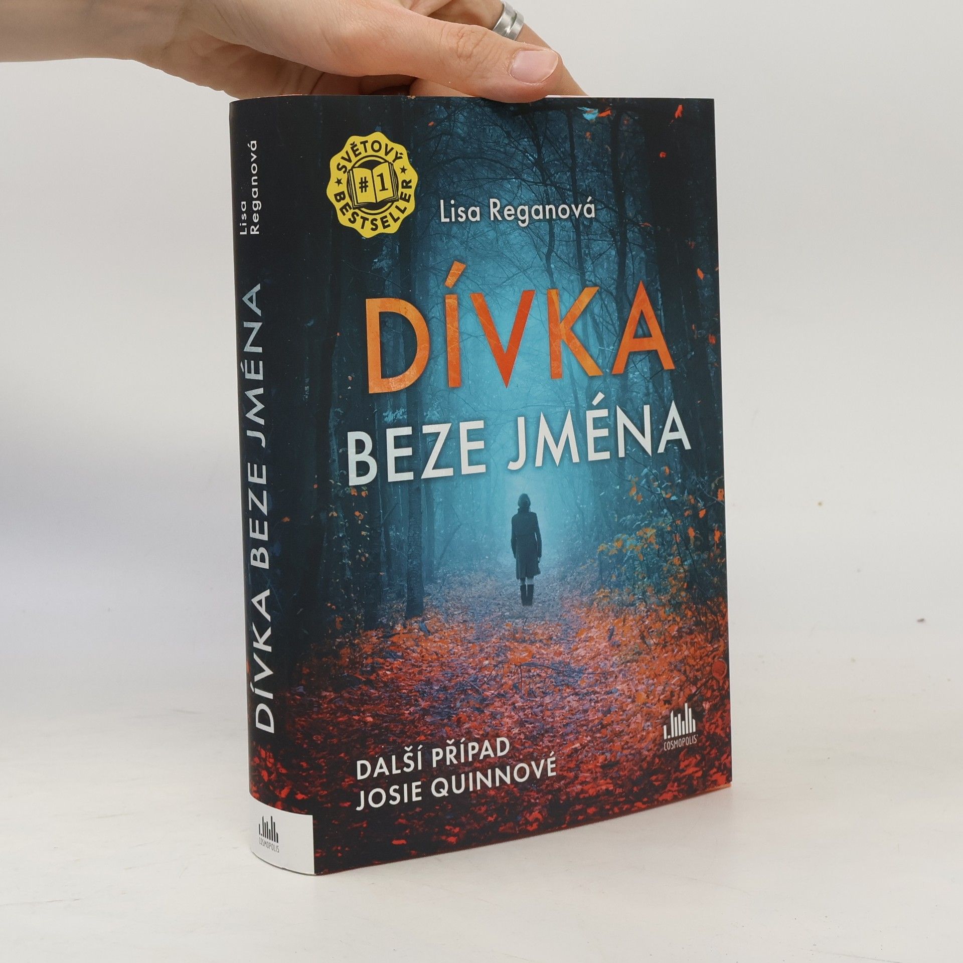Lisa Regan Dívka beze jména: Další případ Josie Quinnové
