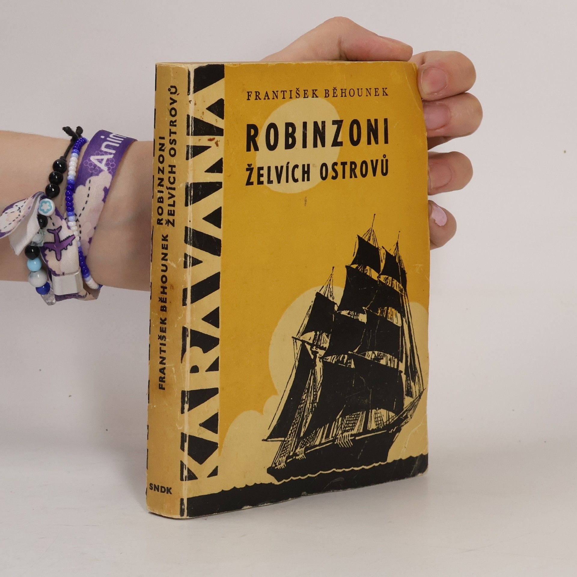 Robinzoni Želvích ostrovů