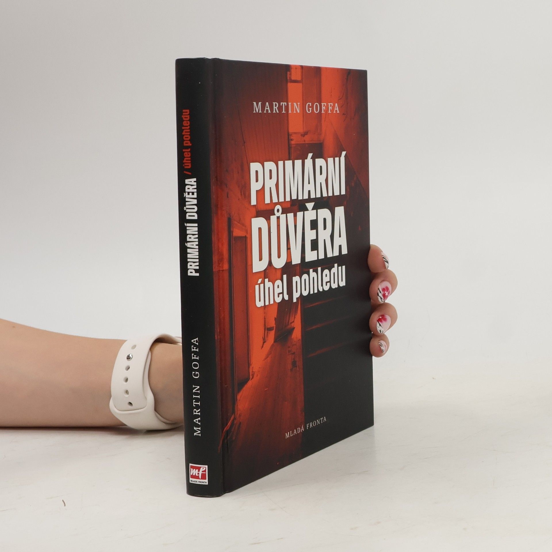 Martin Goffa Primární důvěra - úhel pohledu