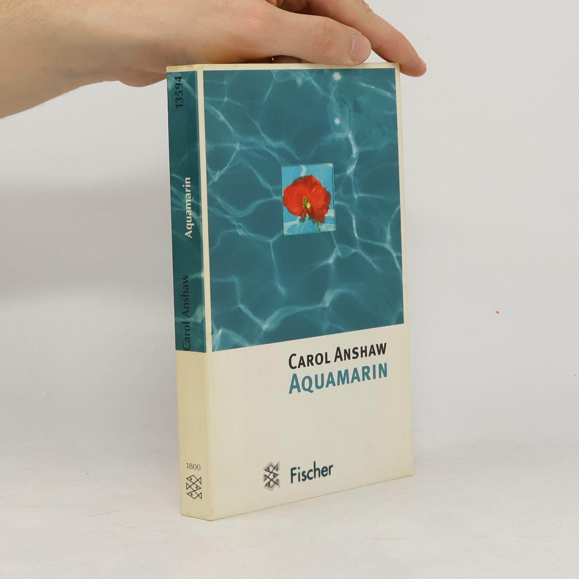 Carol Anshaw Aquamarin