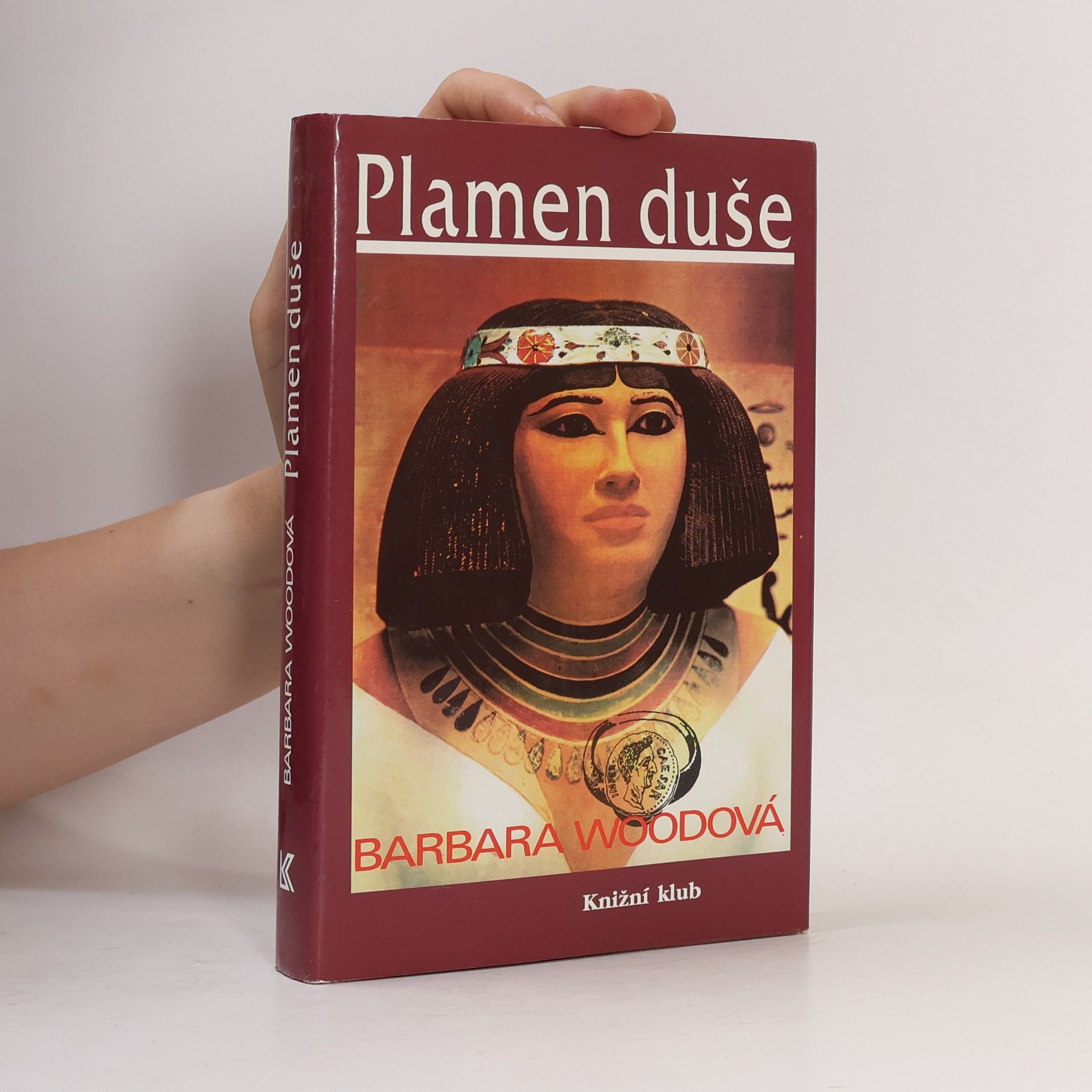Barbara Wood Plamen duše