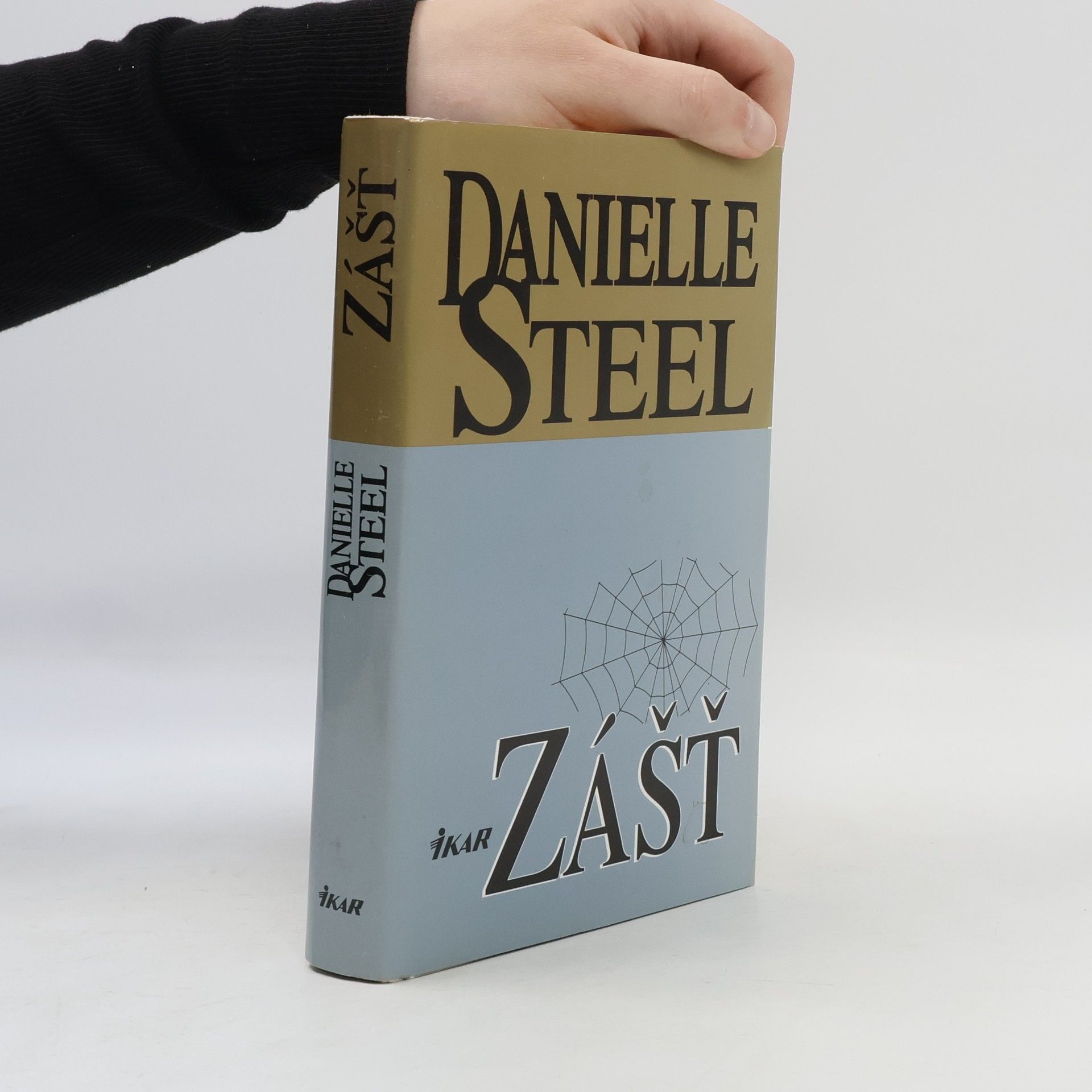 Danielle Steel Zášť