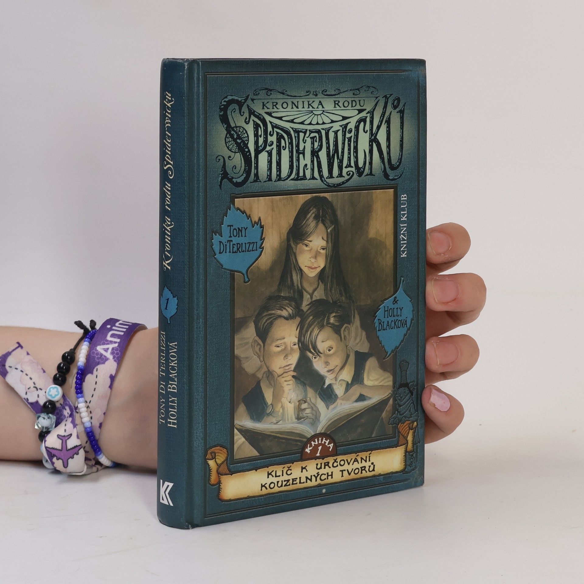 Tony DiTerlizzi Kronika rodu Spiderwicků 1
