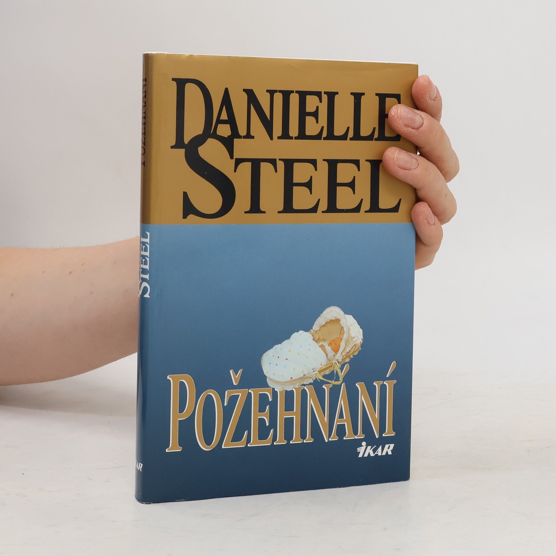 Danielle Steel Požehnání