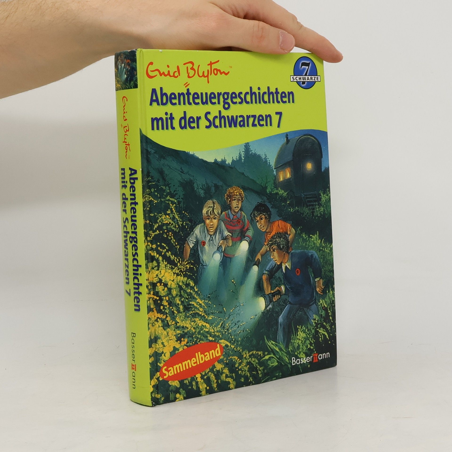 Enid Blyton Abenteuergeschichten mit der Schwarzen 7