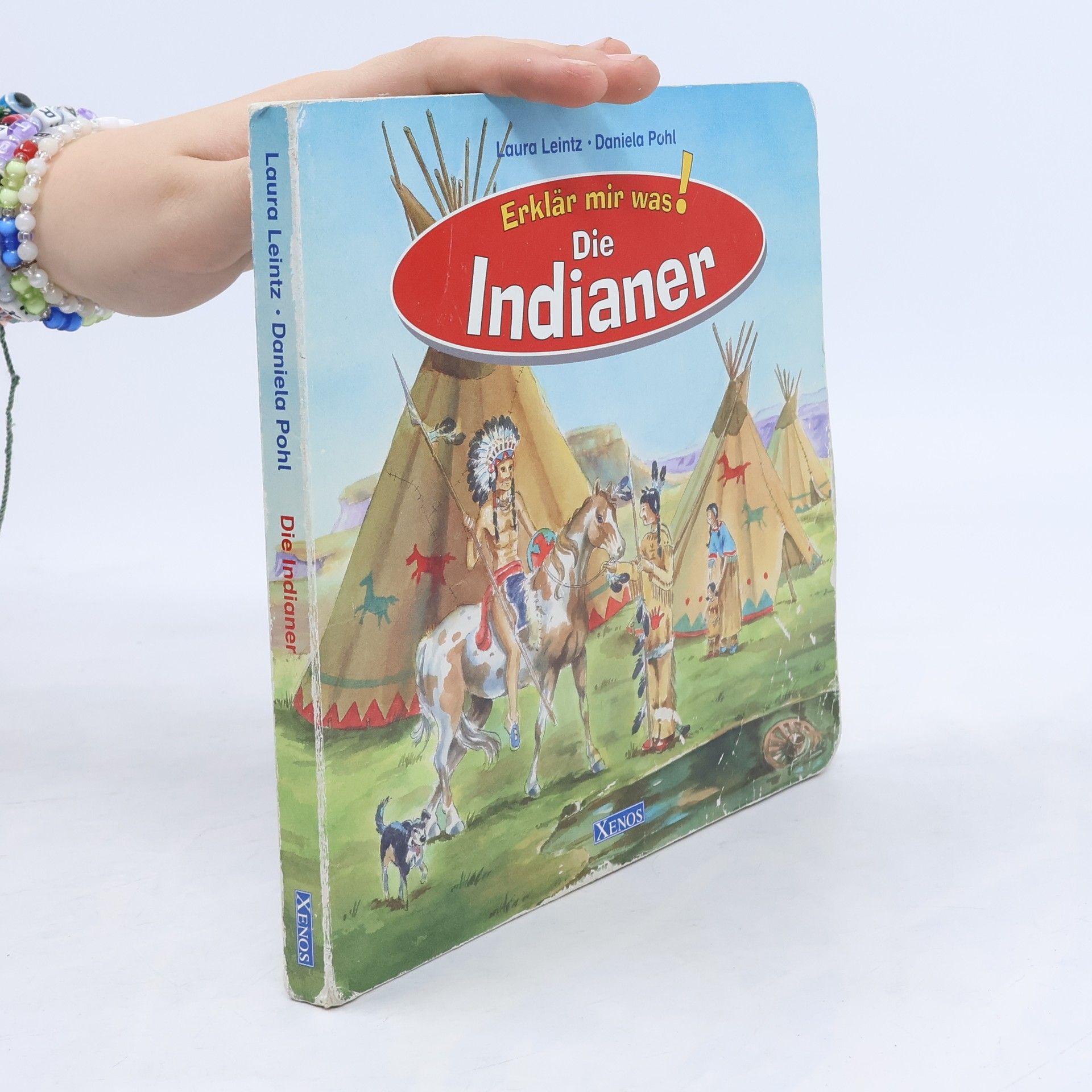 Laura Leintz Die Indianer
