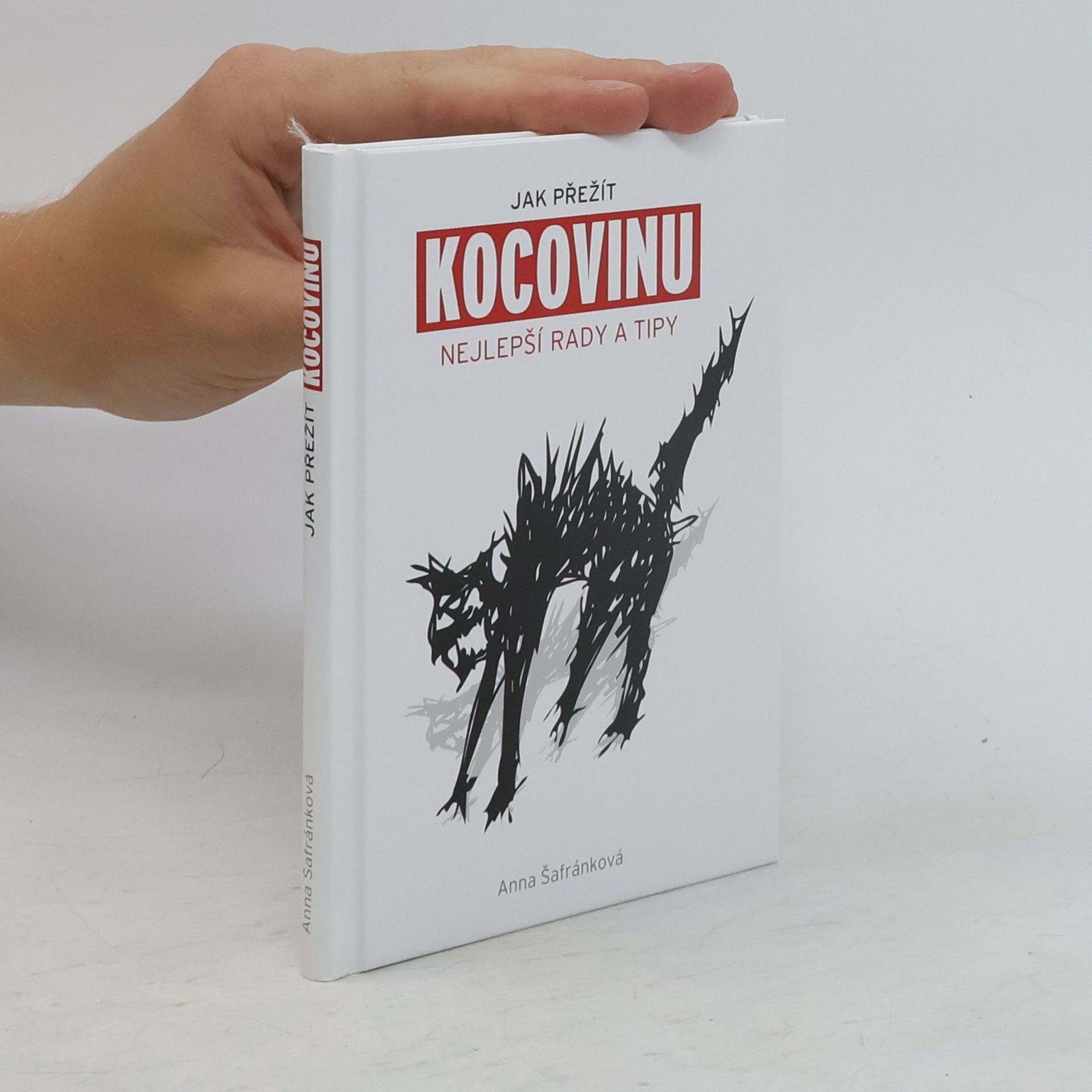Jak přežít kocovinu: Nejlepší rady a tipy