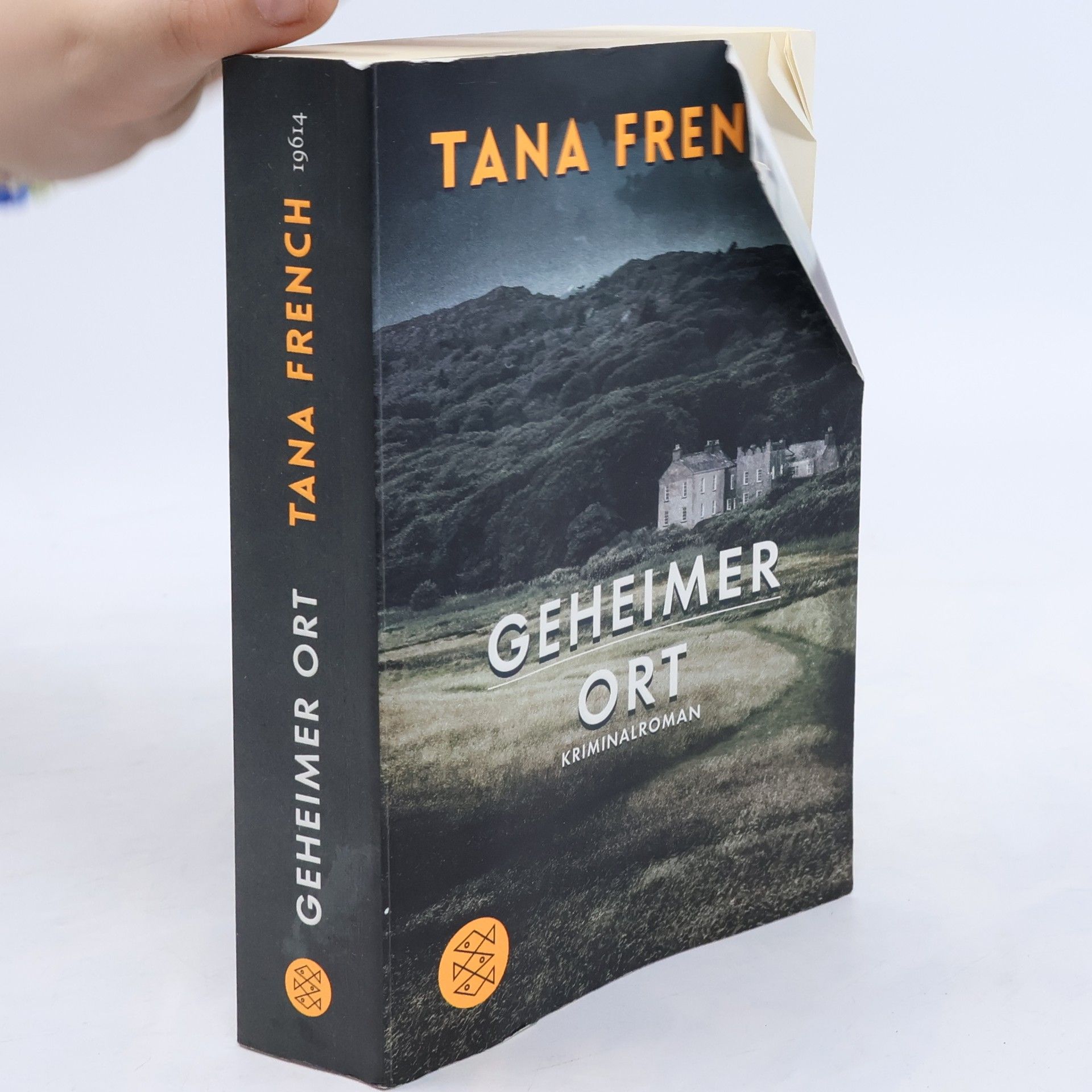 Tana Frenchová Geheimer Ort
