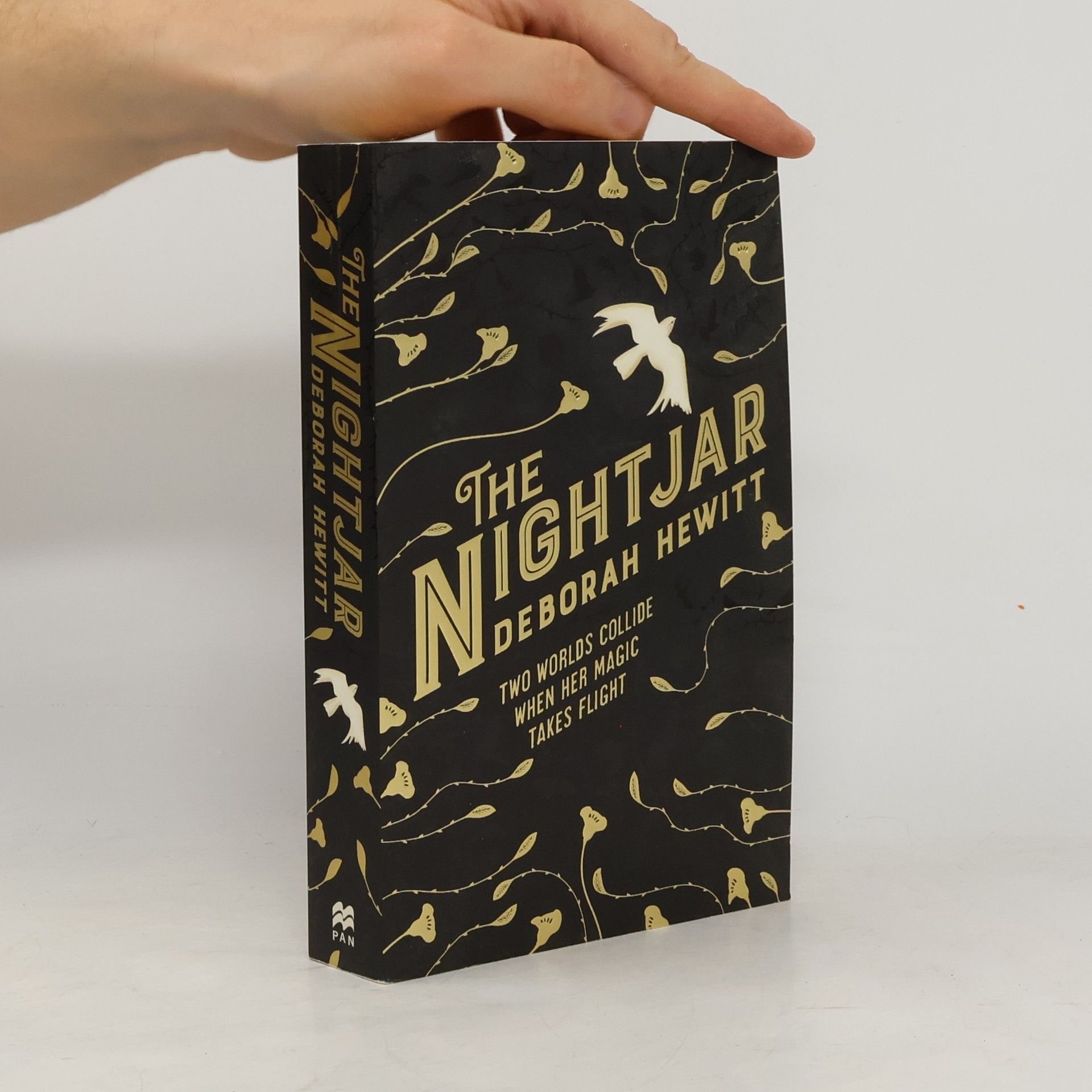 Deborah Hewitt The Nightjar
