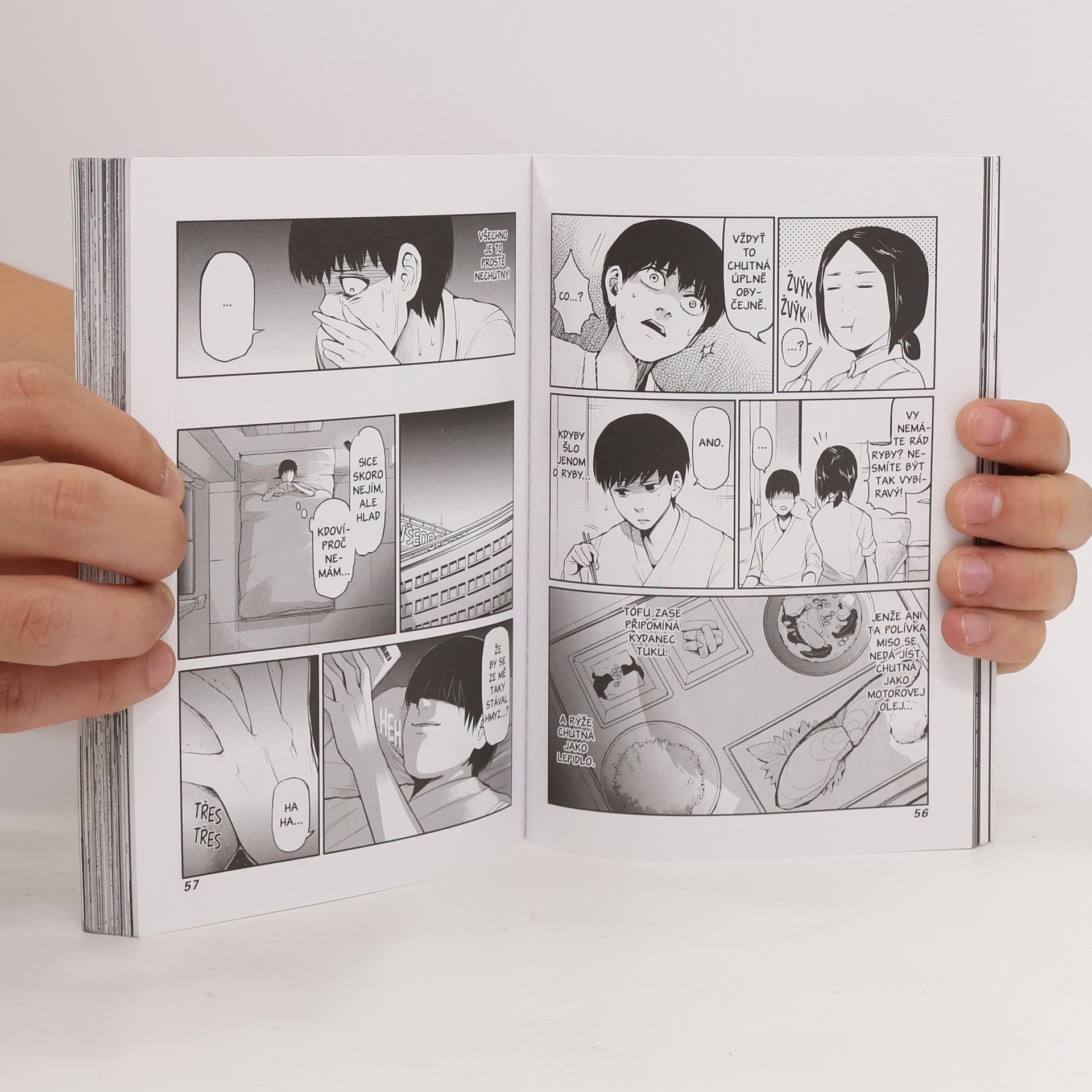 Sui Ishida Tokijský ghúl 1