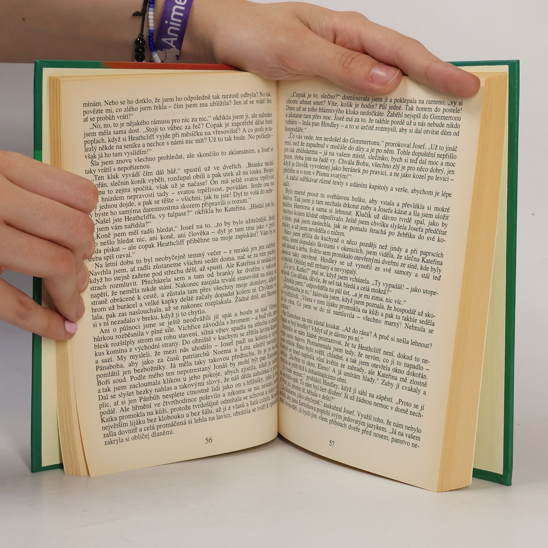 Emily Brontë Na Větrné hůrce