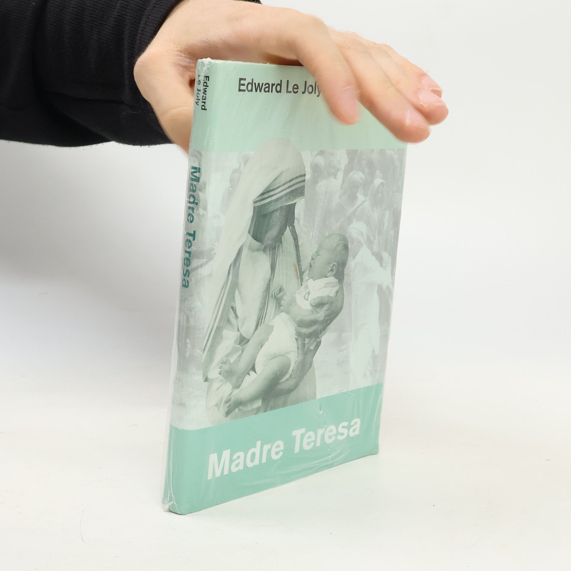Edward Le Joly Madre Teresa
