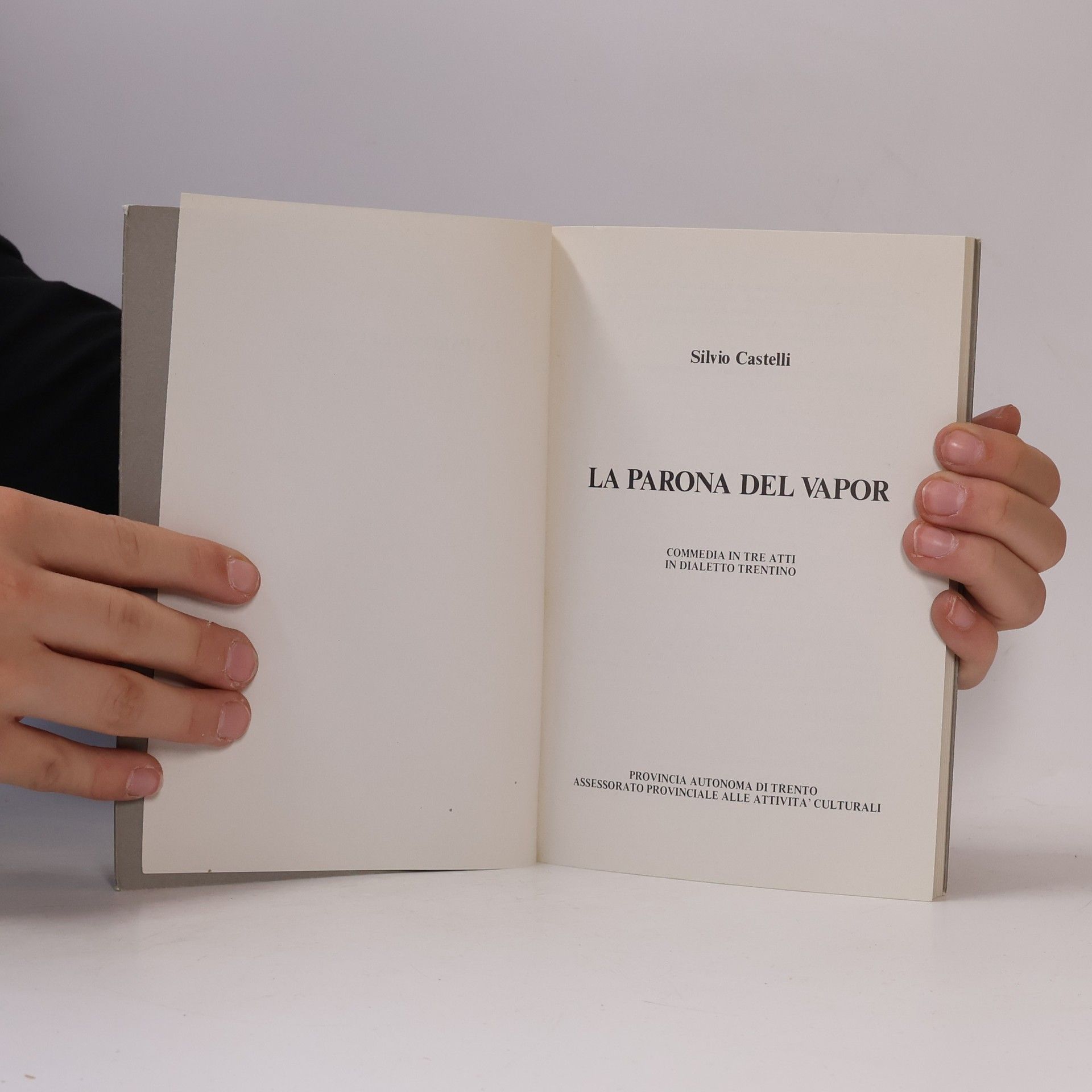 Silvio Castelli La parona del vapor