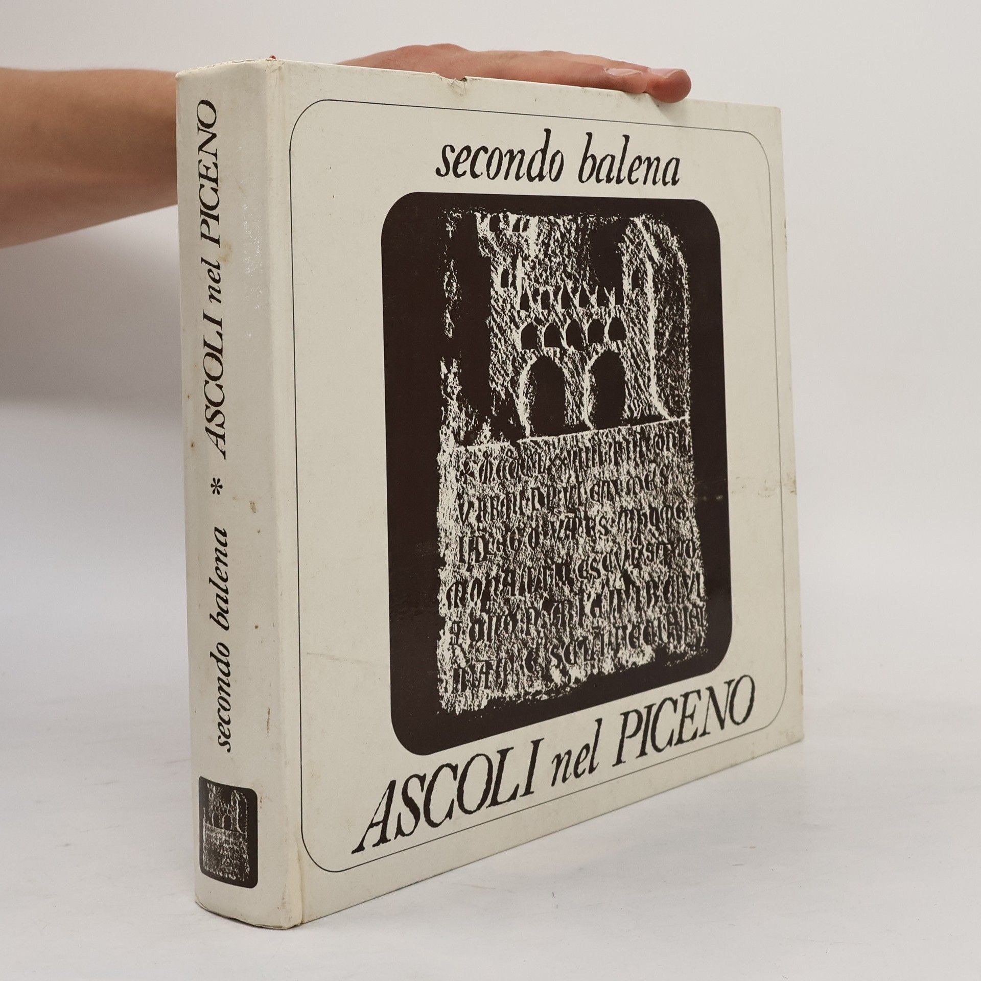 Various authors Ascoli nel Piceno