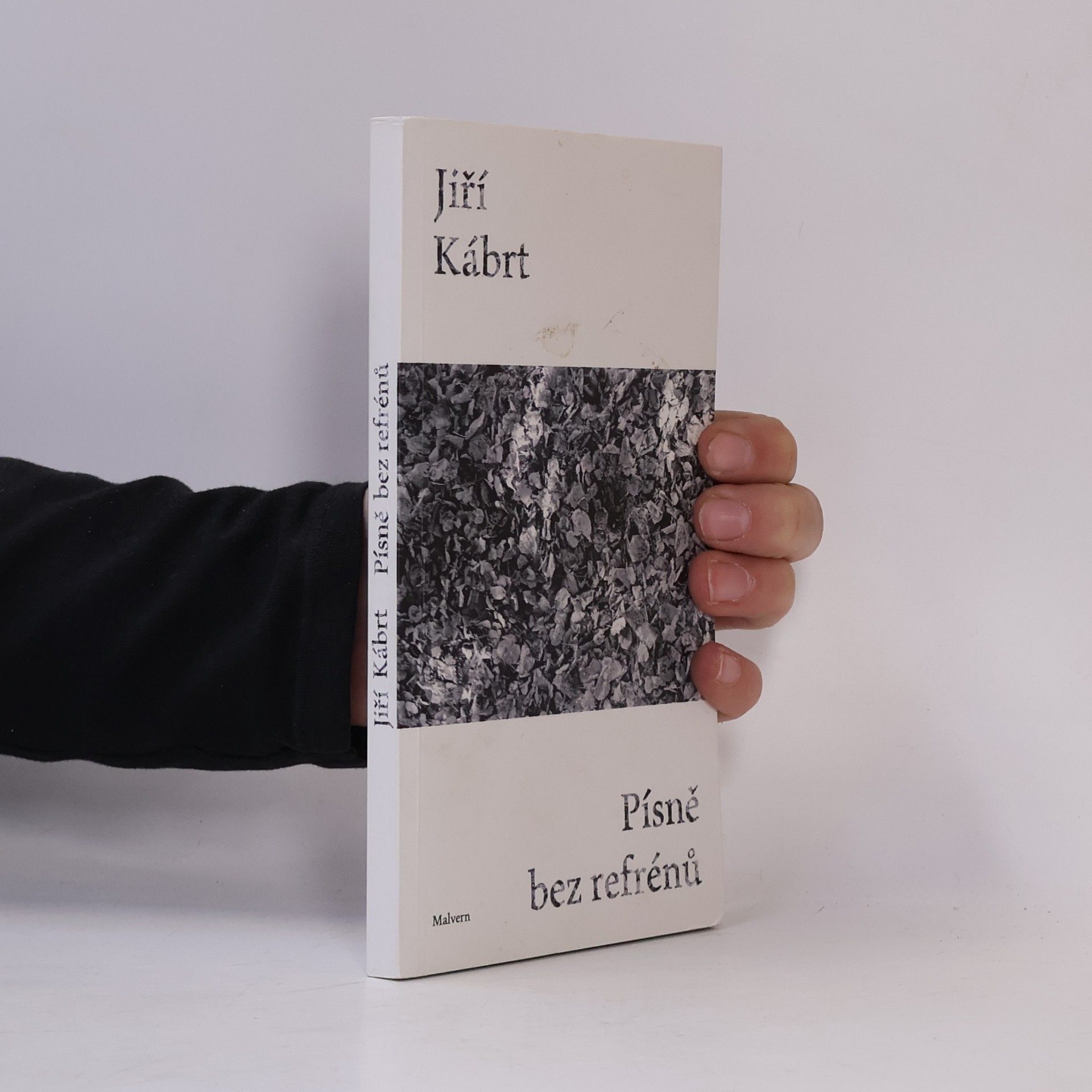 Jiří Kábrt Písně bez refrénů