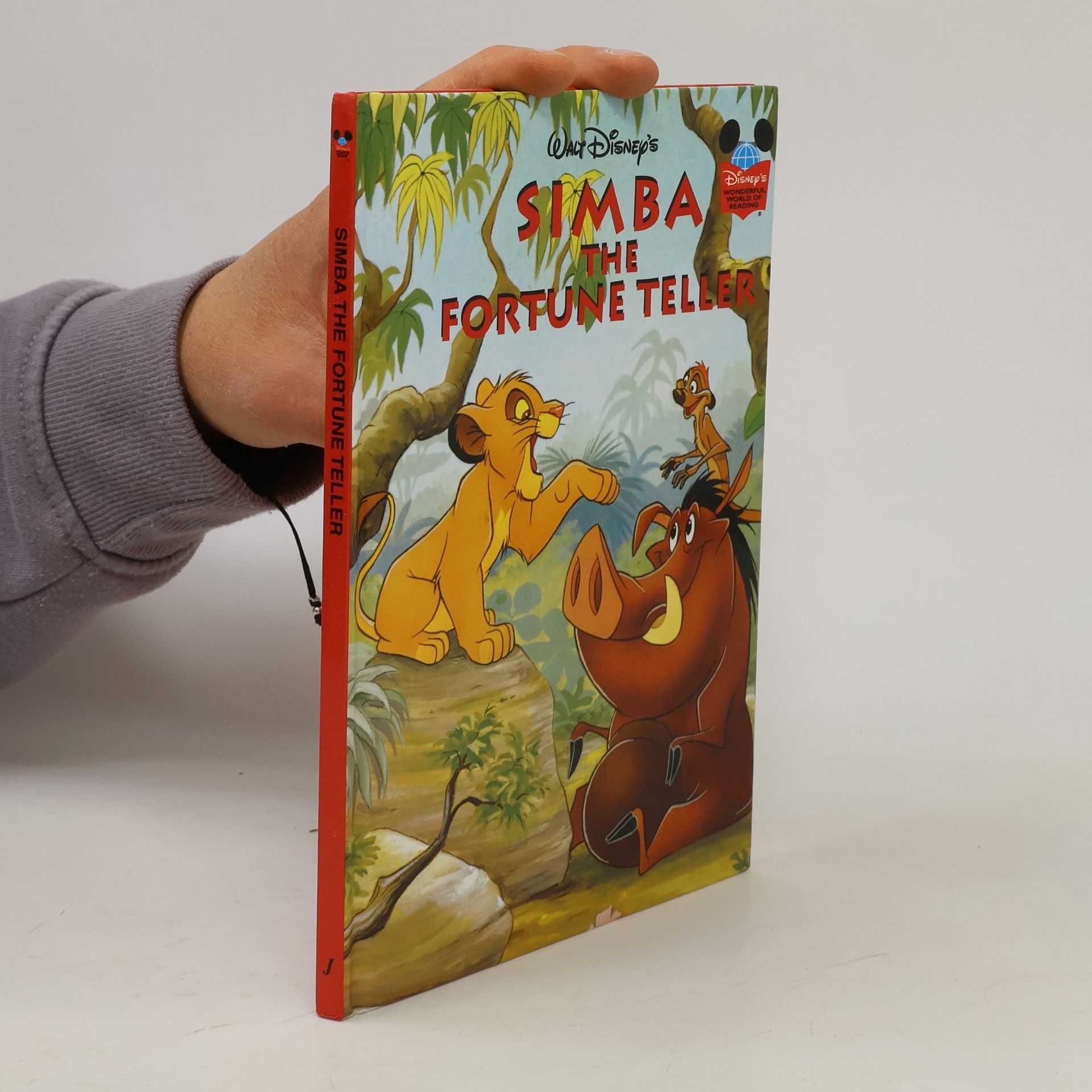 Autorenkollektiv Simba the Fortune Teller
