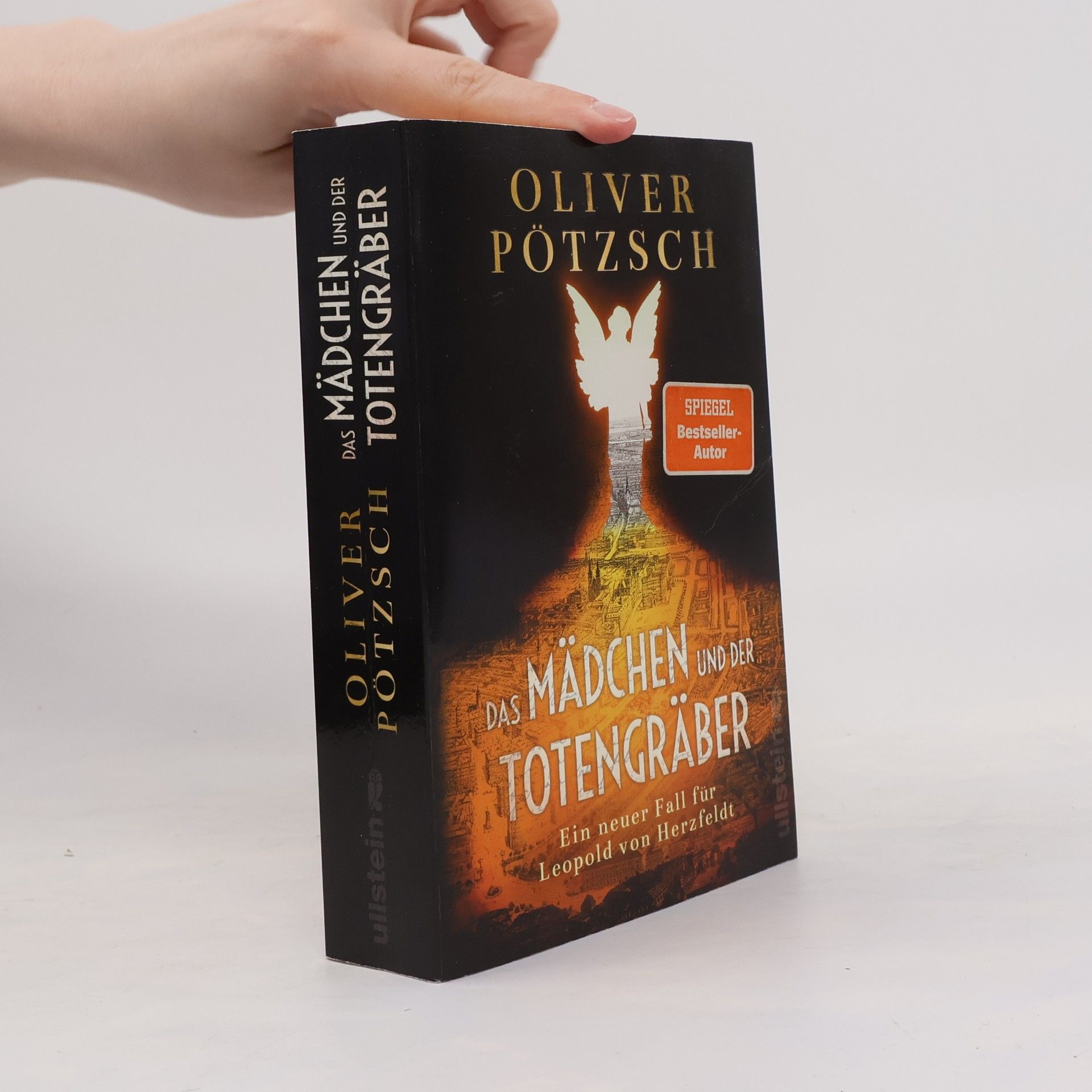 Oliver Pötzsch Das Mädchen und der Totengräber