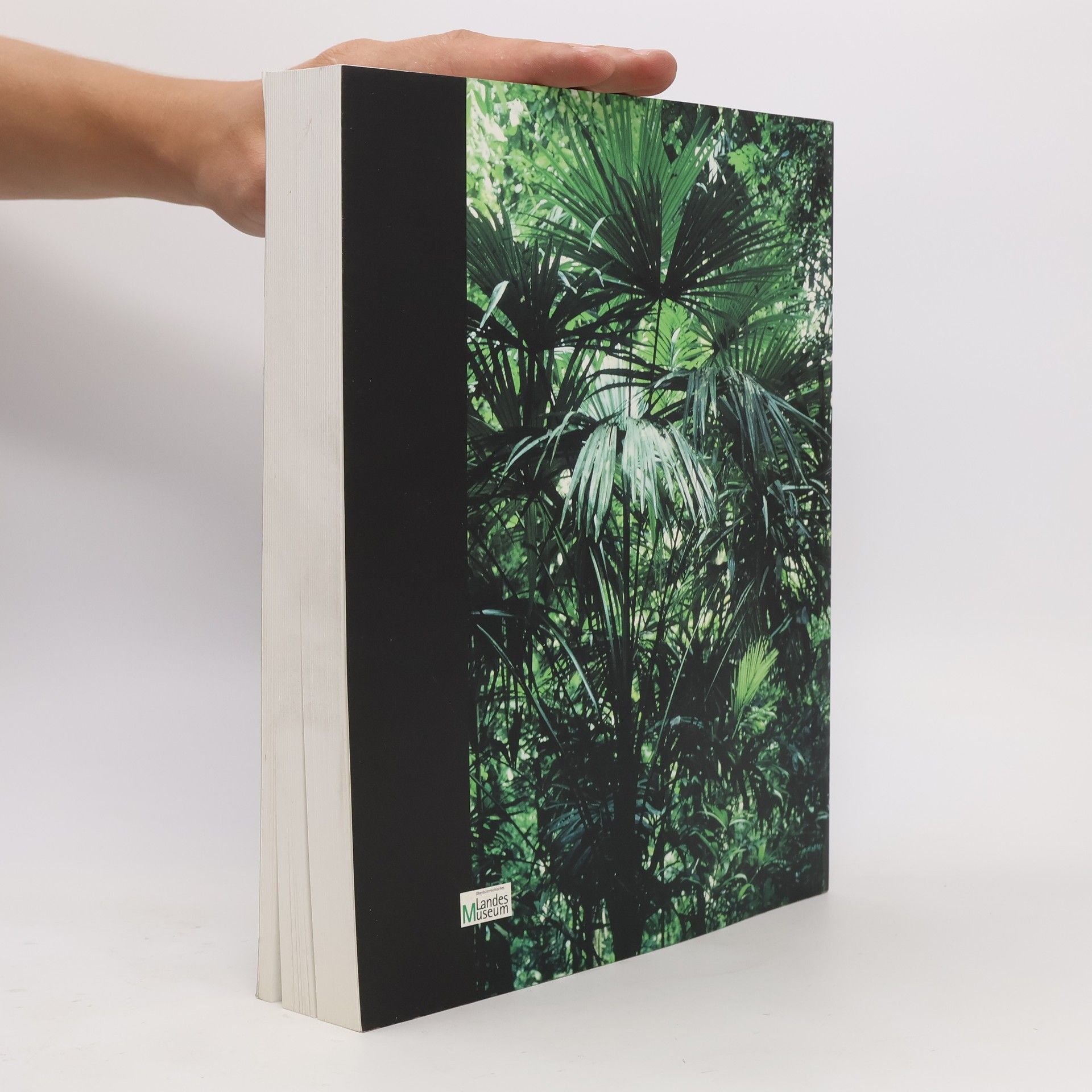 Yes Illustrated An Introductory Field Guide to the Flowering Plants of the Golfo Dulce Rain Forests Costa Rica
