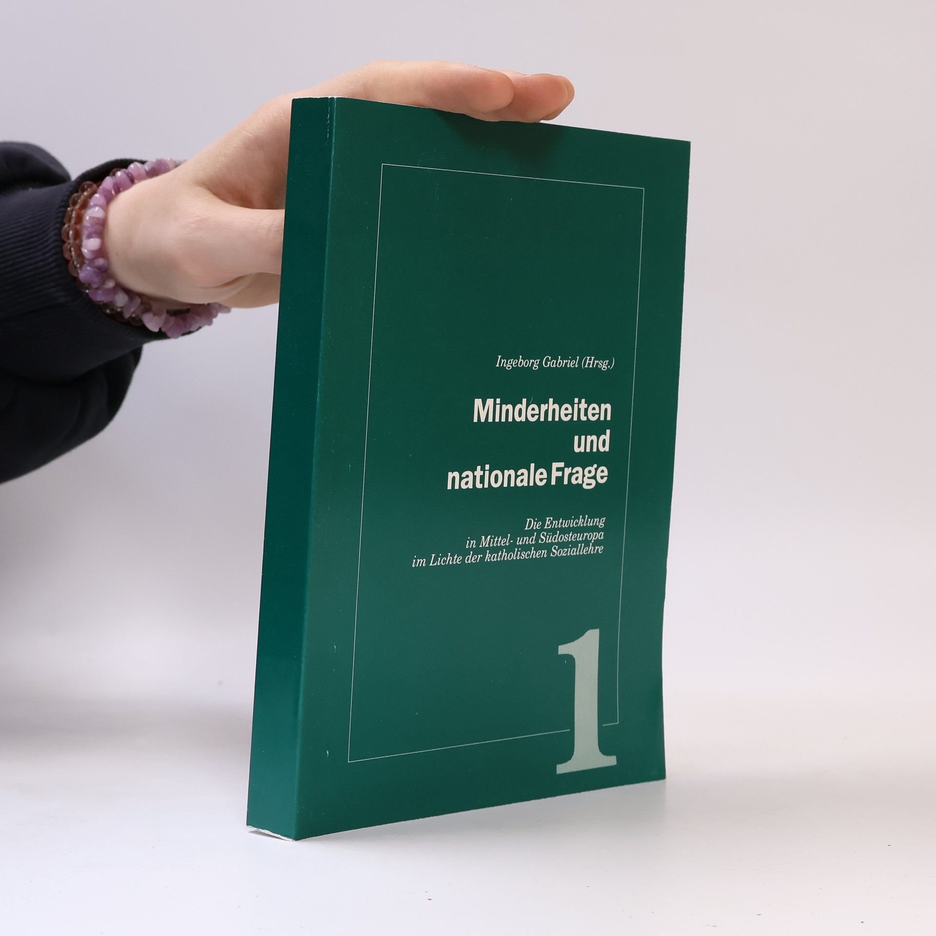 Ingeborg Gabriel Schriftenreihe des Instituts fur Sozialpolitik und Sozialreform - 1: Minderheiten und nationale Frage (German Edition)