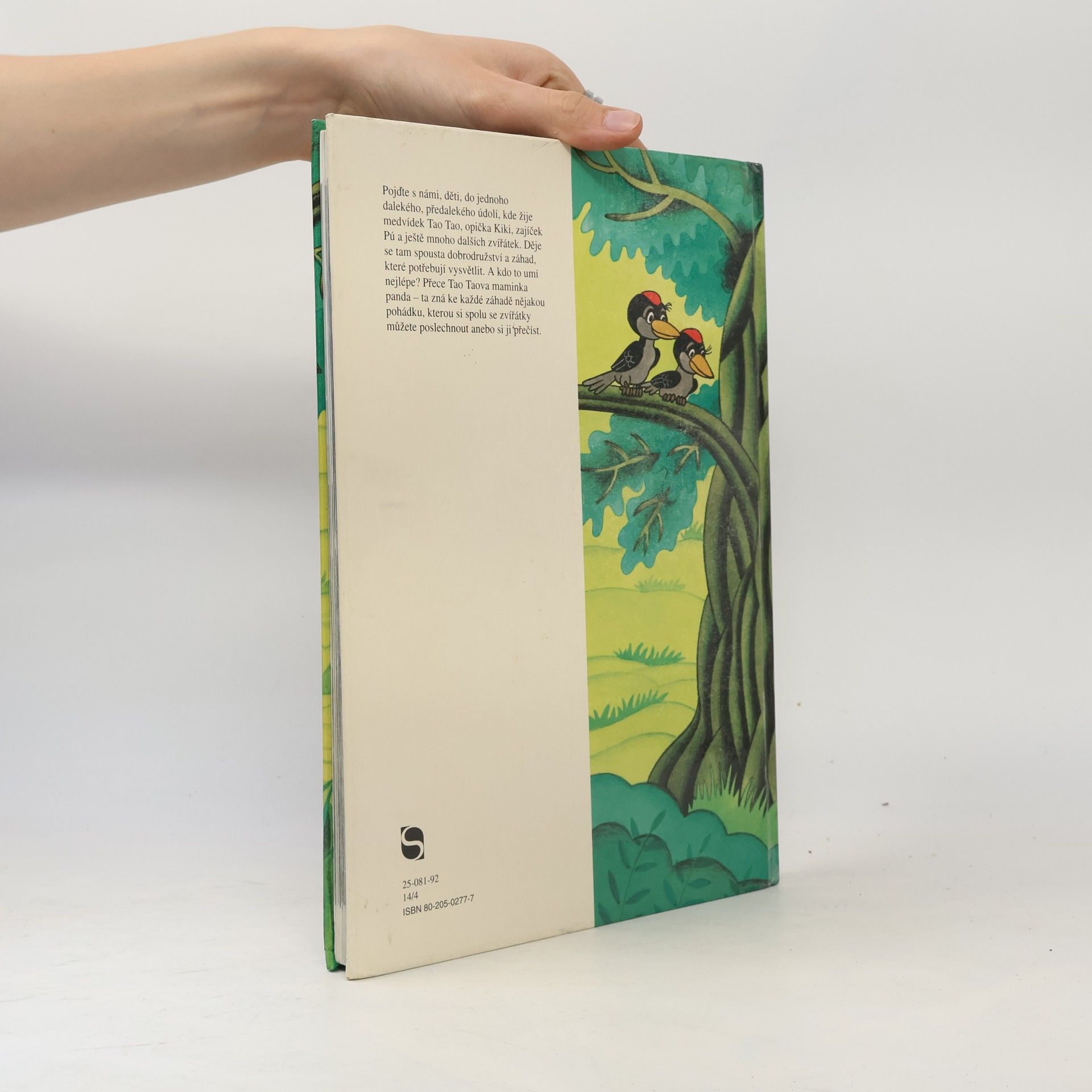 Collectif d'auteurs Tao Tao. Medvídek panda