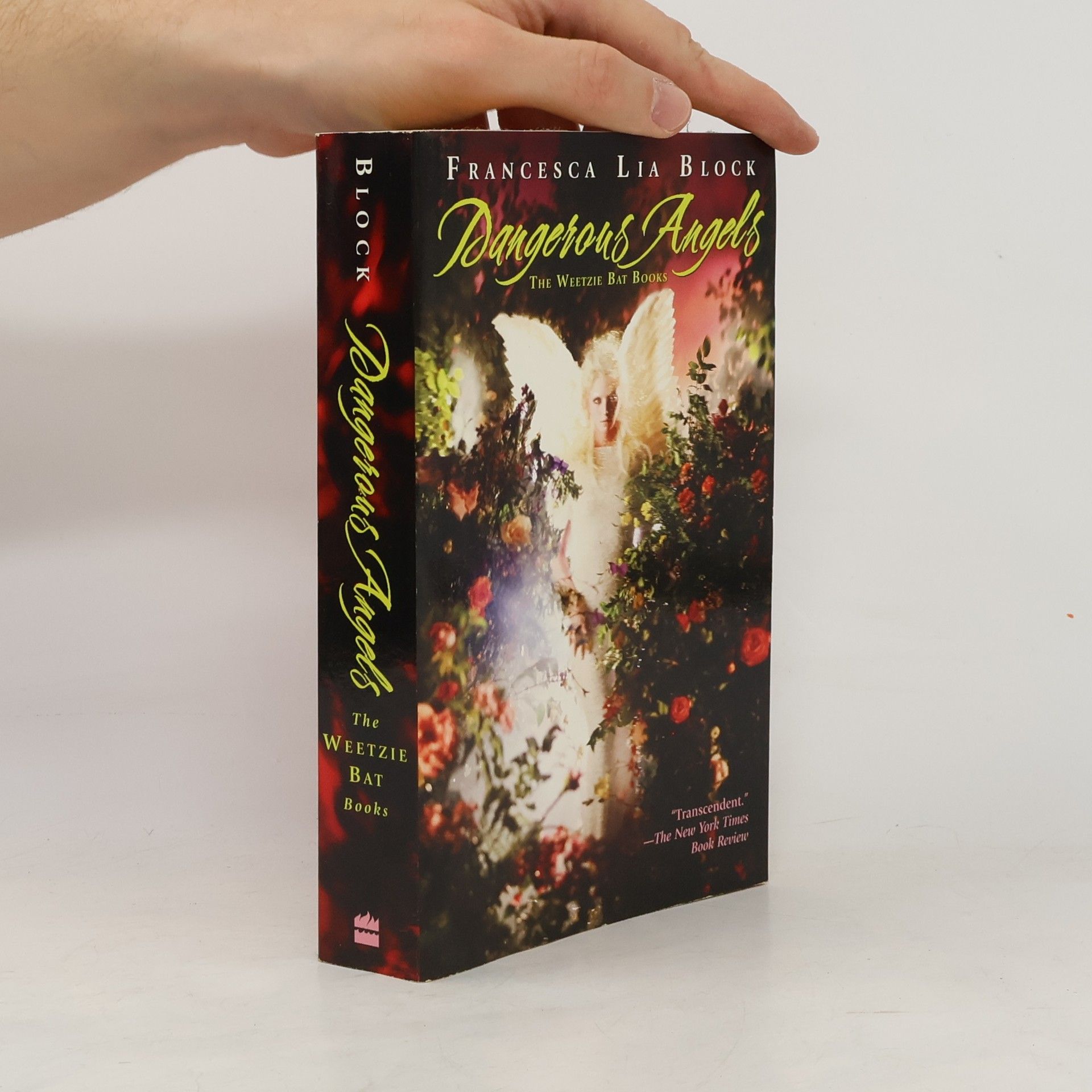 Francesca Lia Block The Weetzie Bat Books: Dangerous Angels