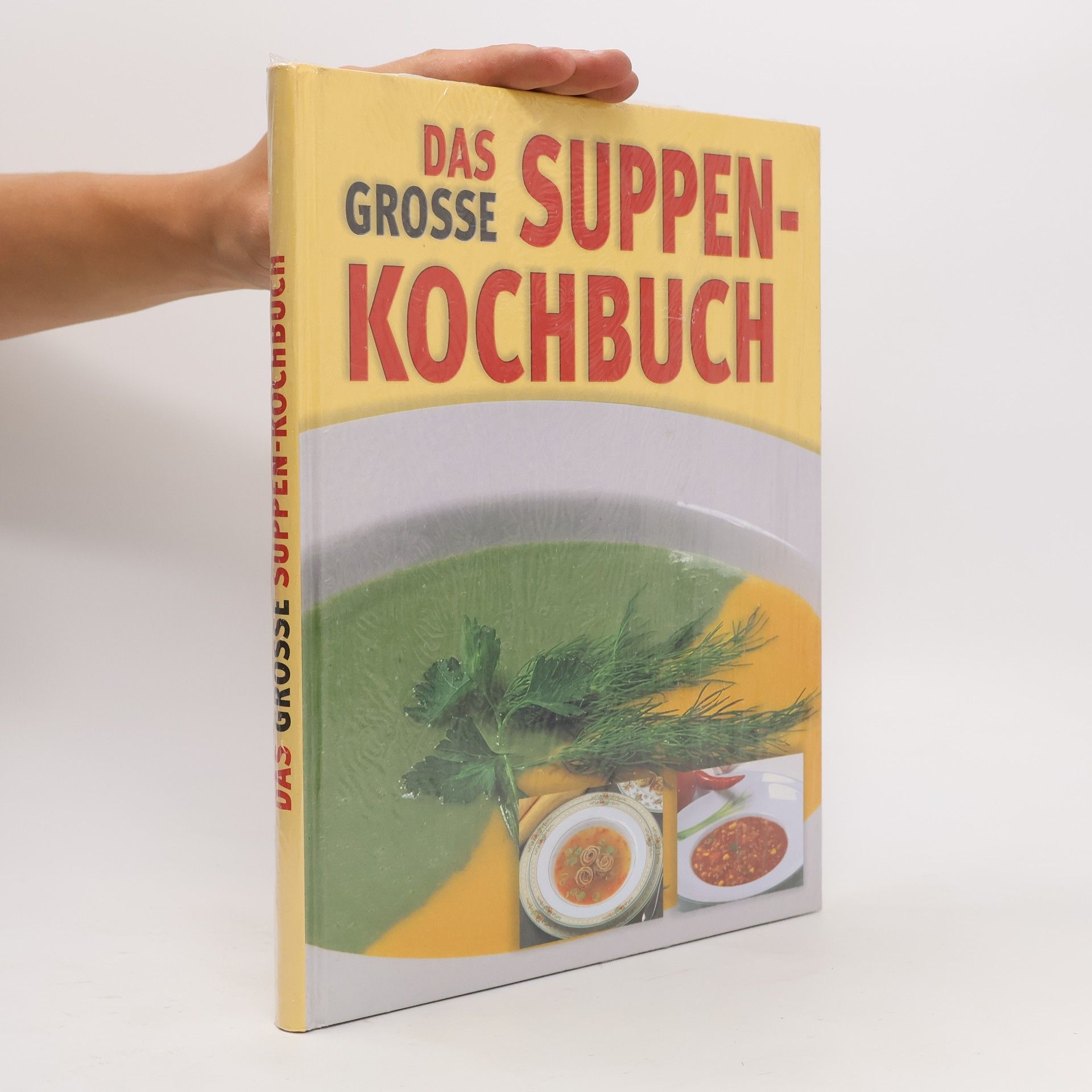 Kolektiv autorů Das grosse Suppenkochbuch