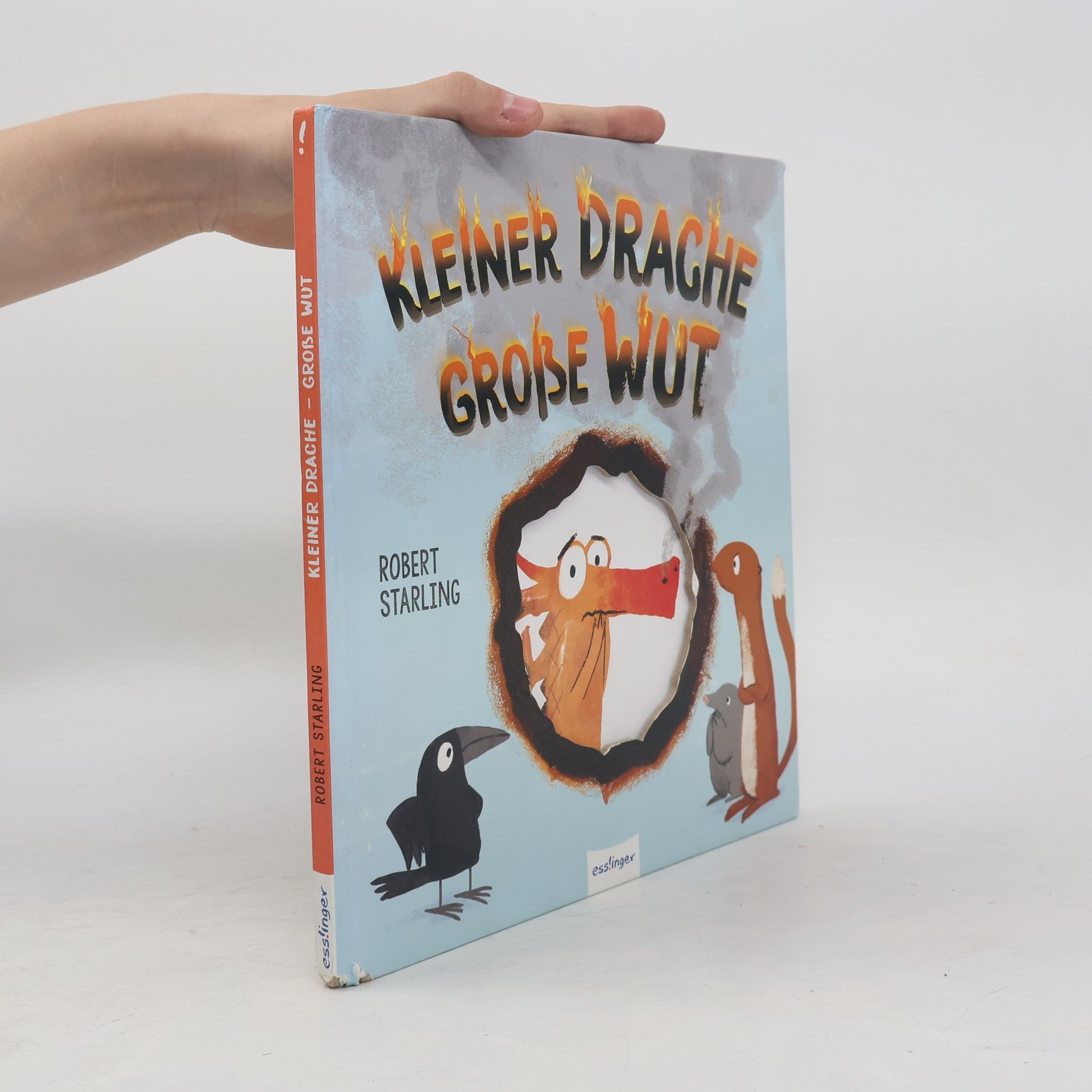 Robert Starling Kleiner Drache - große Wut