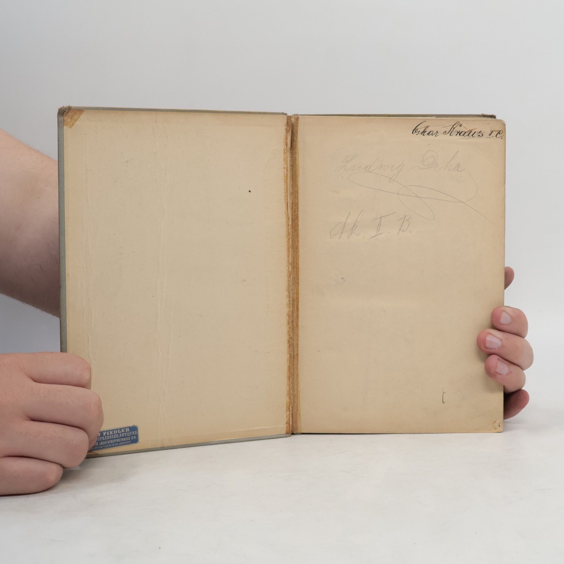 Myron Dolinski Algebra und Politische Arithmetik