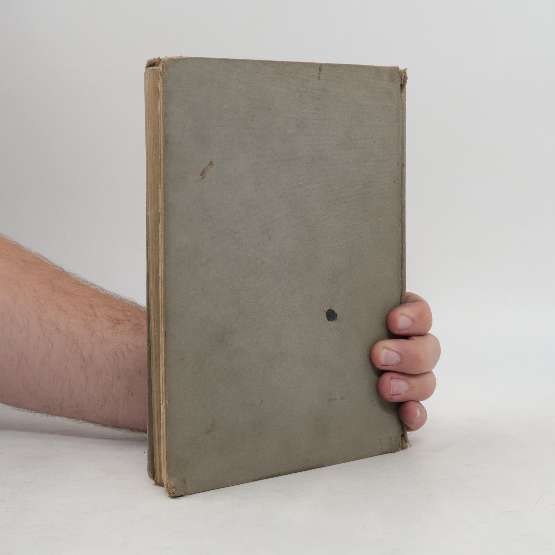 Myron Dolinski Algebra und Politische Arithmetik