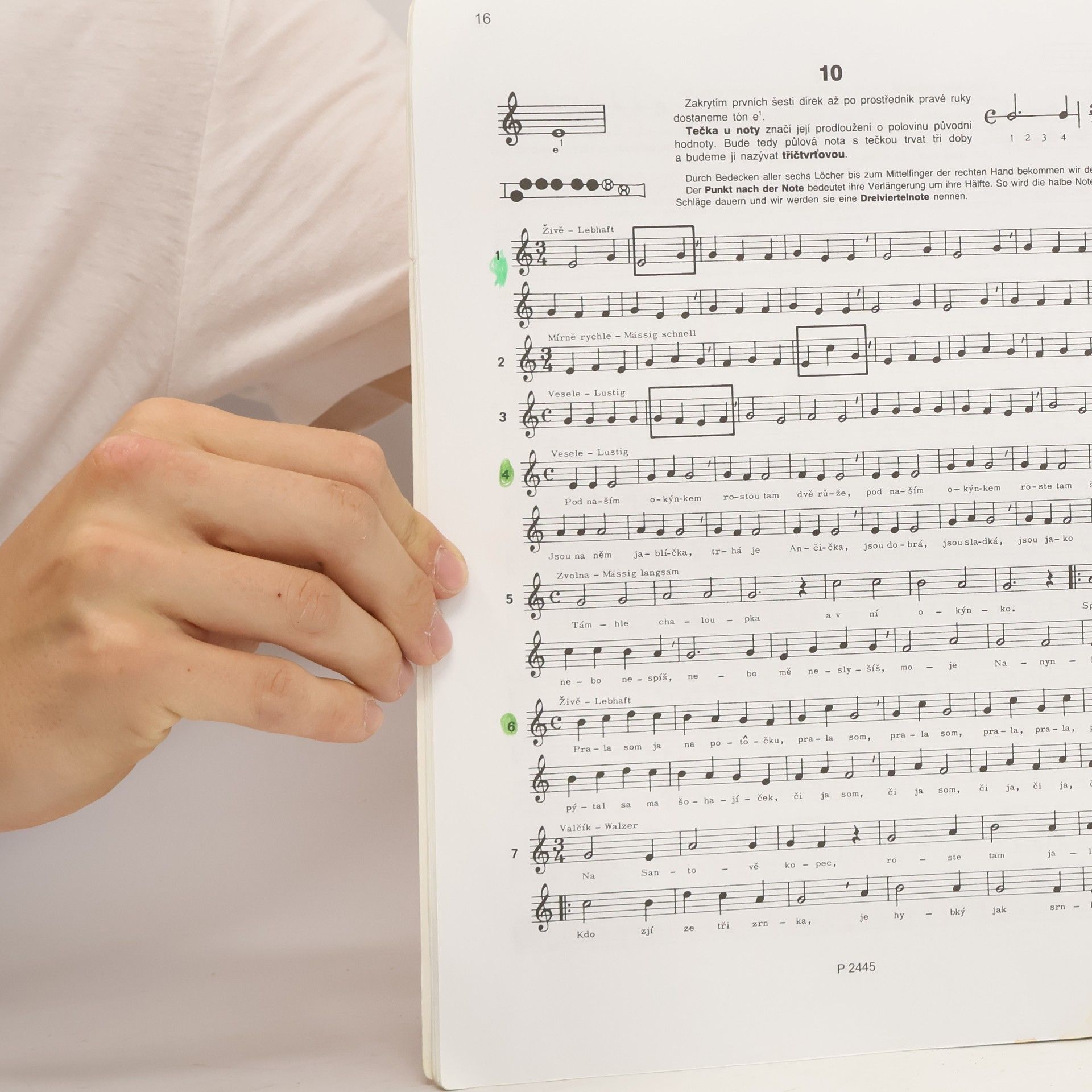 Schott Music Panton Škola hry na sopránovou zobcovou flétnu