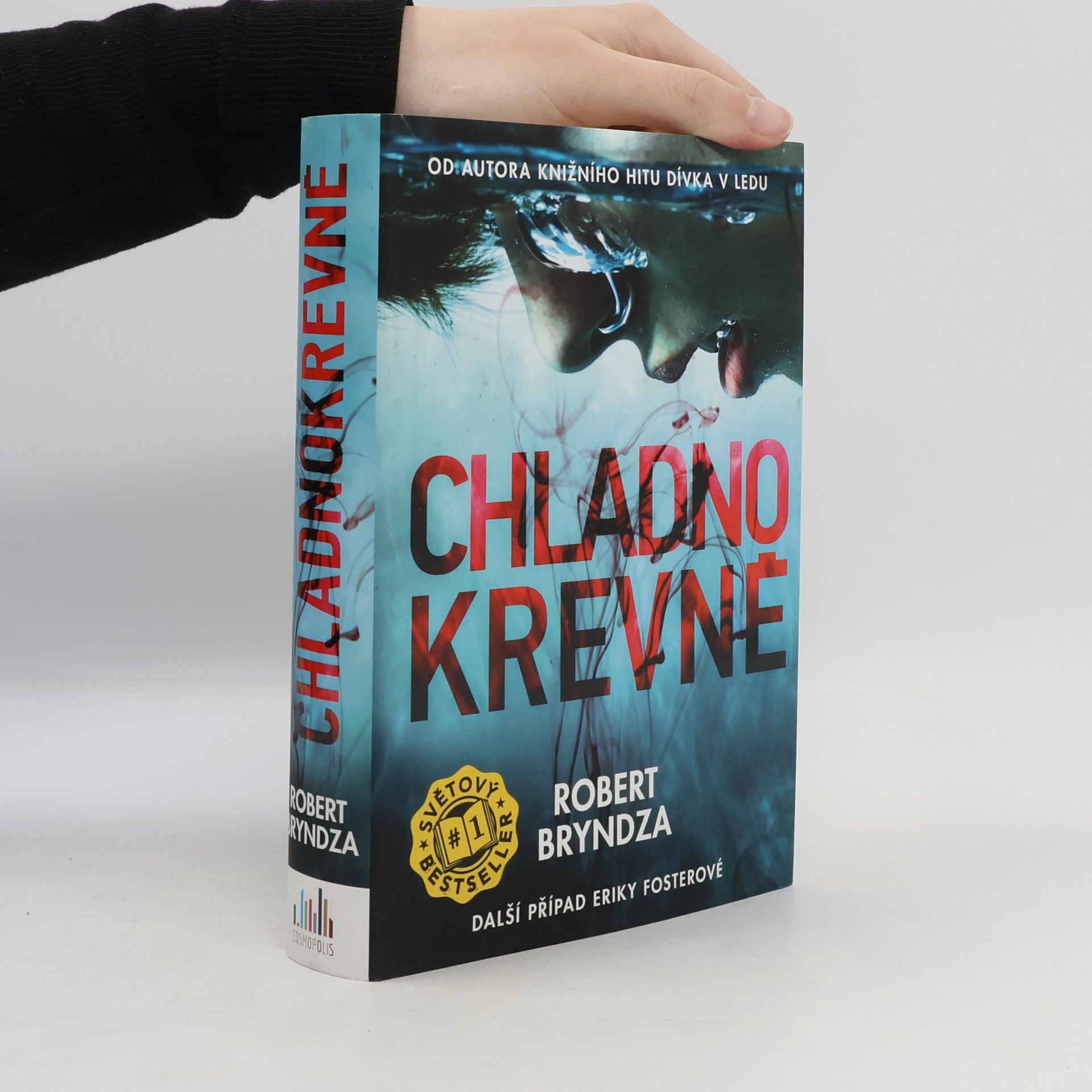 Robert Bryndza Chladnokrevně