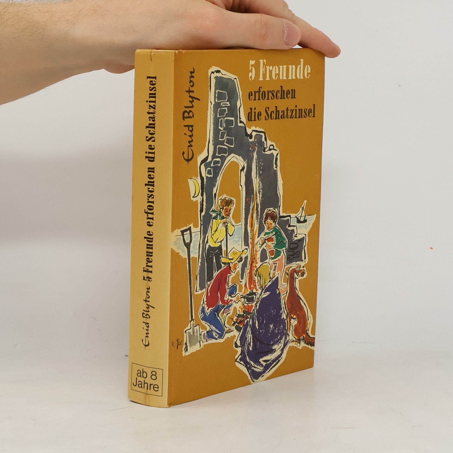 Enid Blyton 5 Freunde erforschen die Schatzinsel