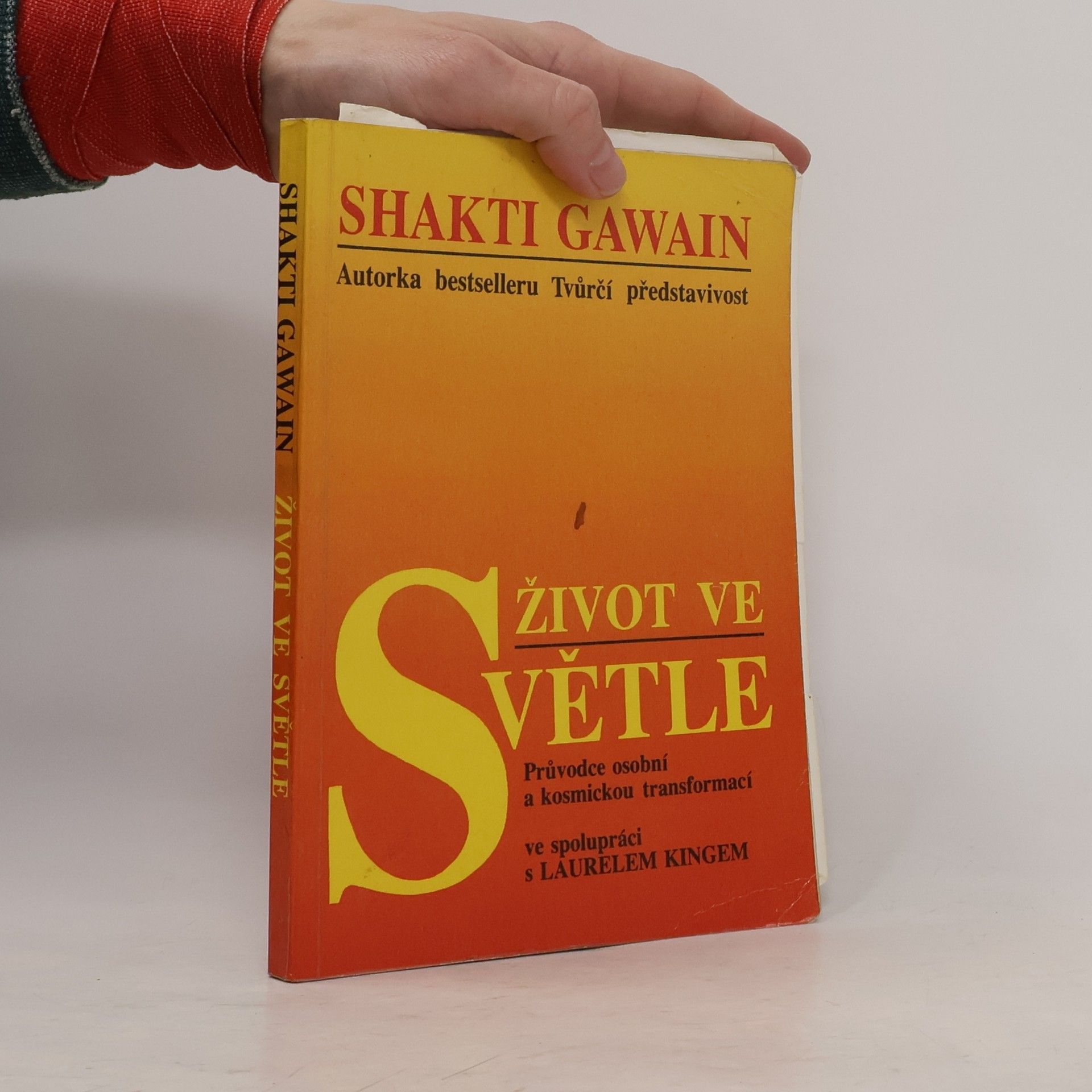 Shakti Gawain Život ve světle