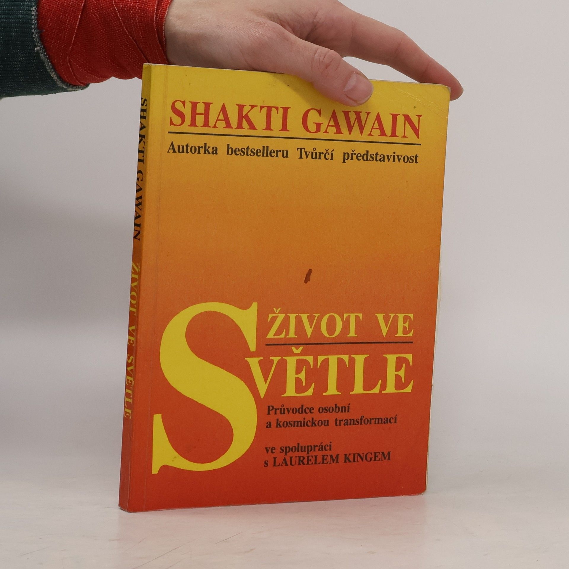 Shakti Gawain Život ve světle