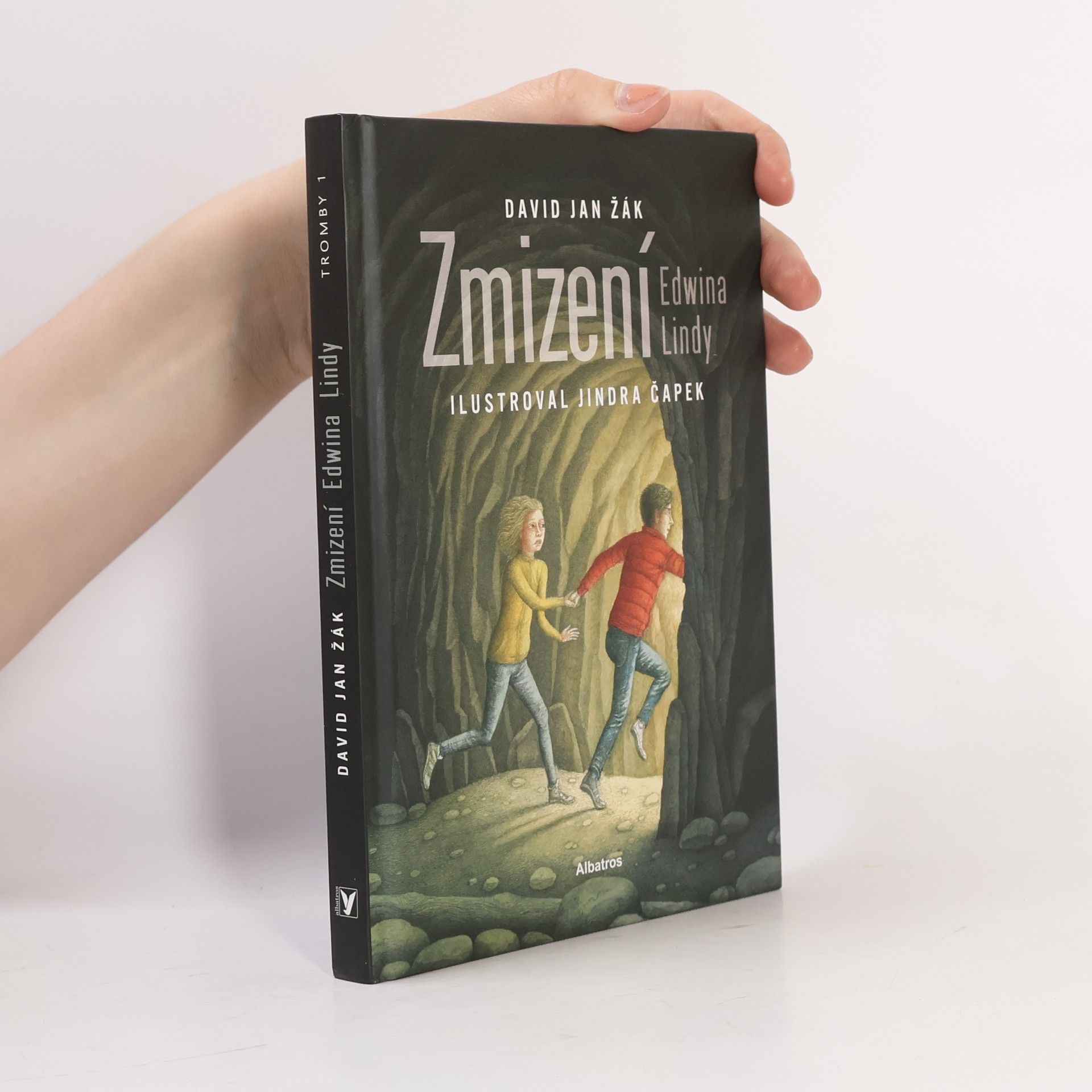 David Jan Žák Zmizení Edwina Lindy