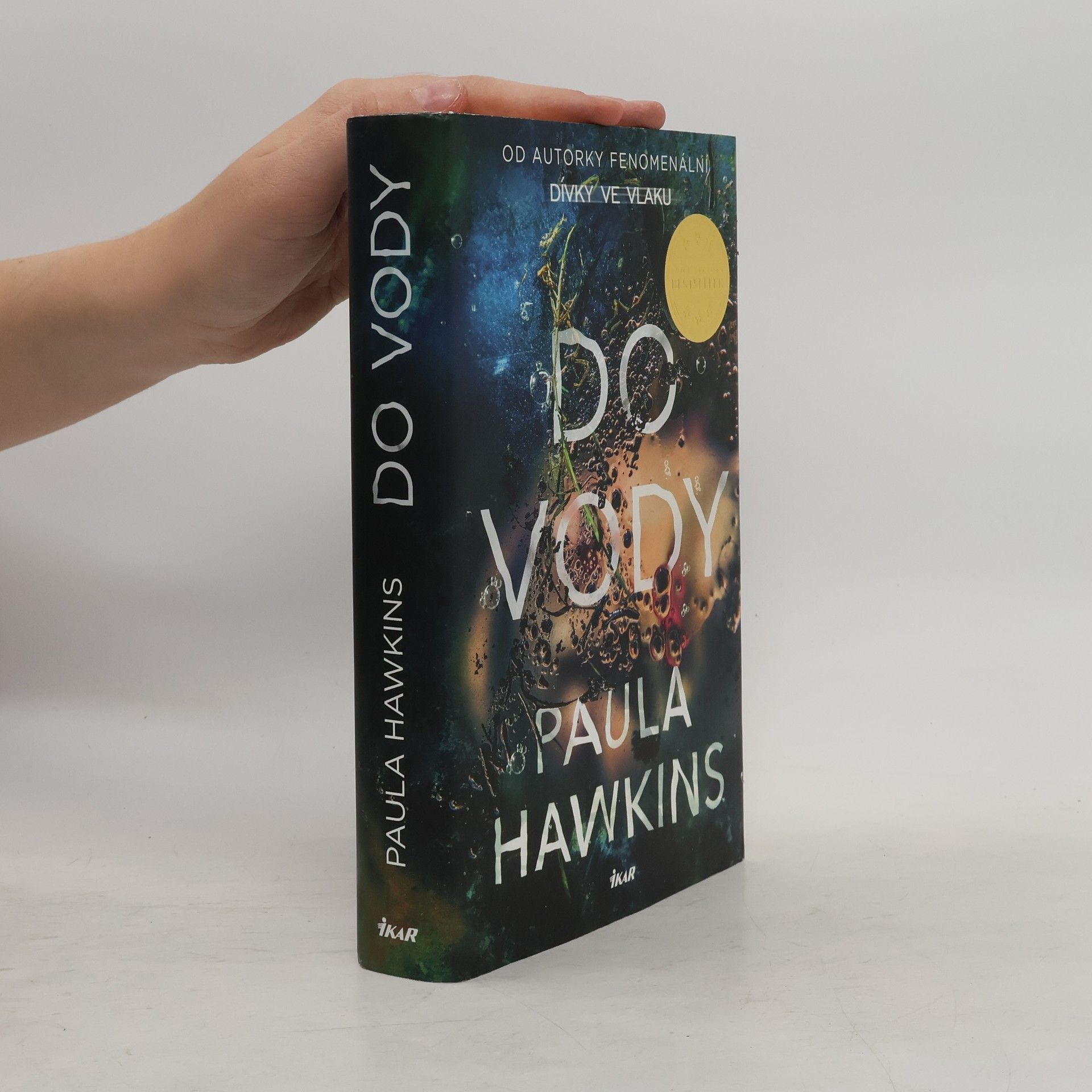 Paula Hawkins Do vody