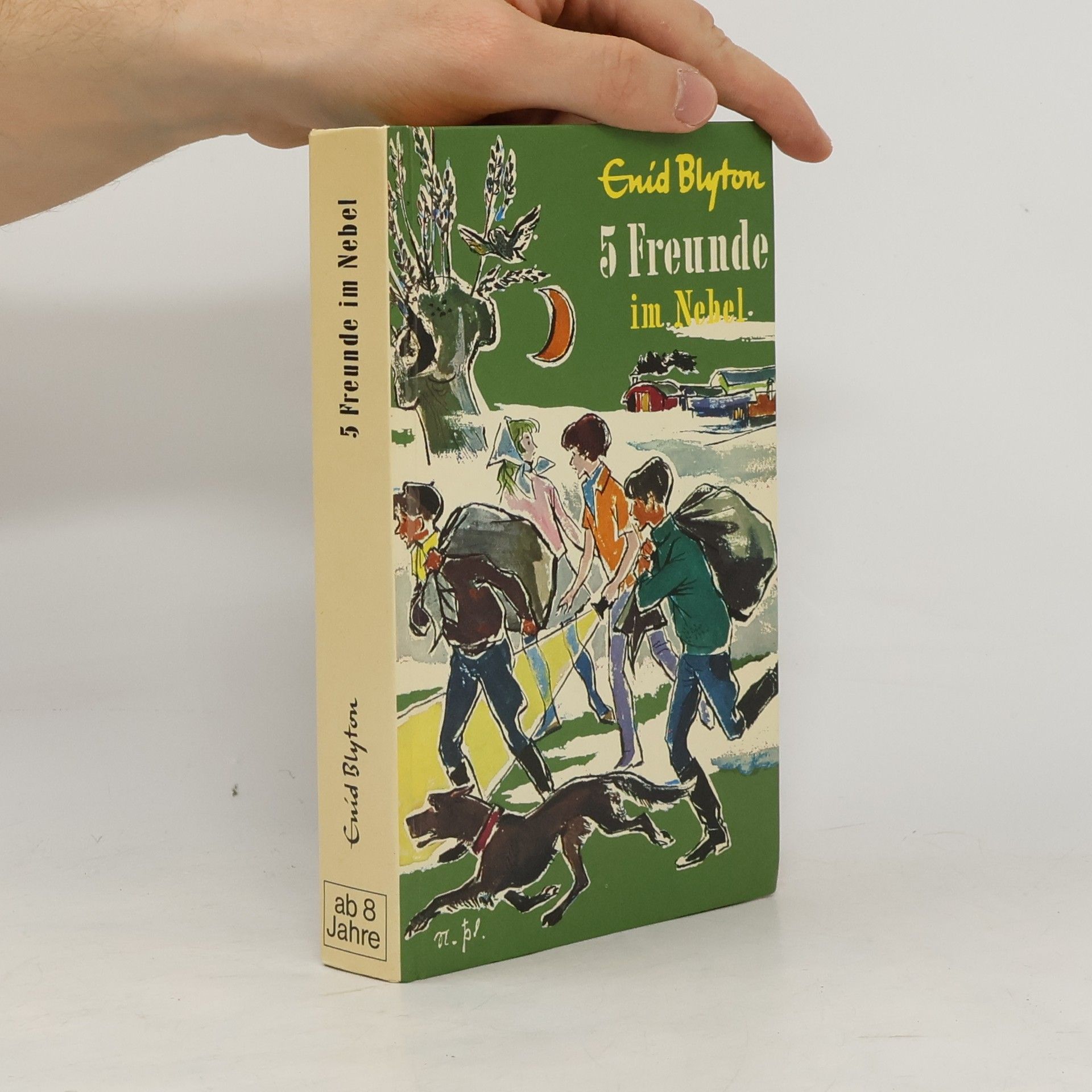 Enid Blyton 5 Freunde im Nebel