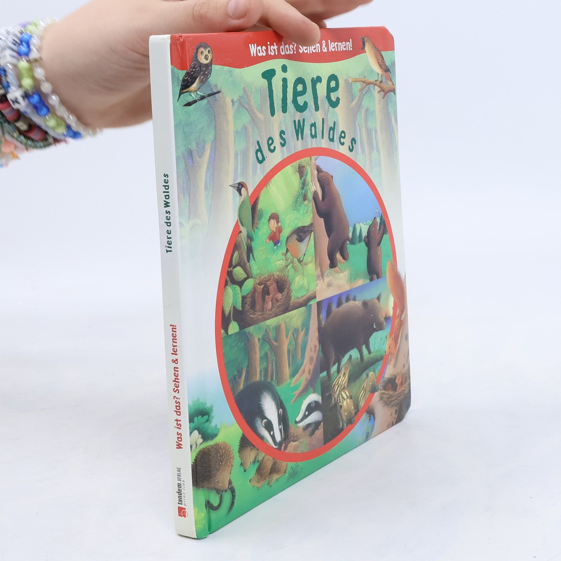 Autorenkollektiv Tiere des Waldes