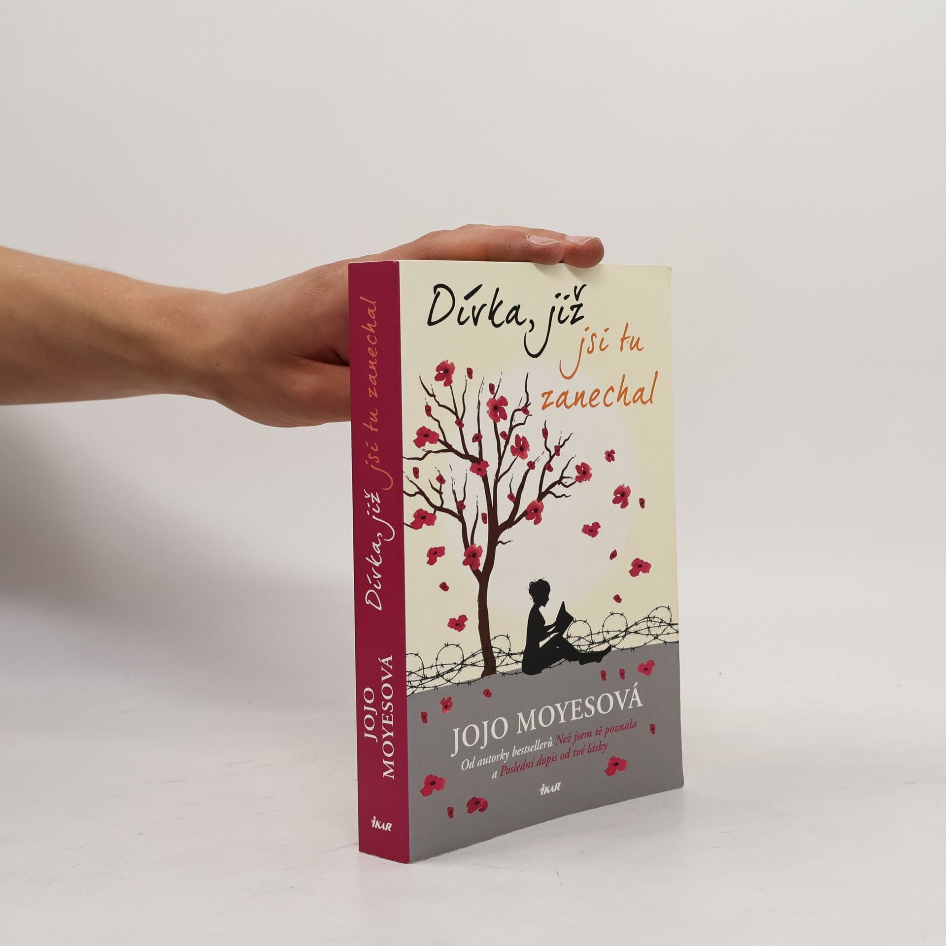 Jojo Moyes Dívka, již jsi tu zanechal