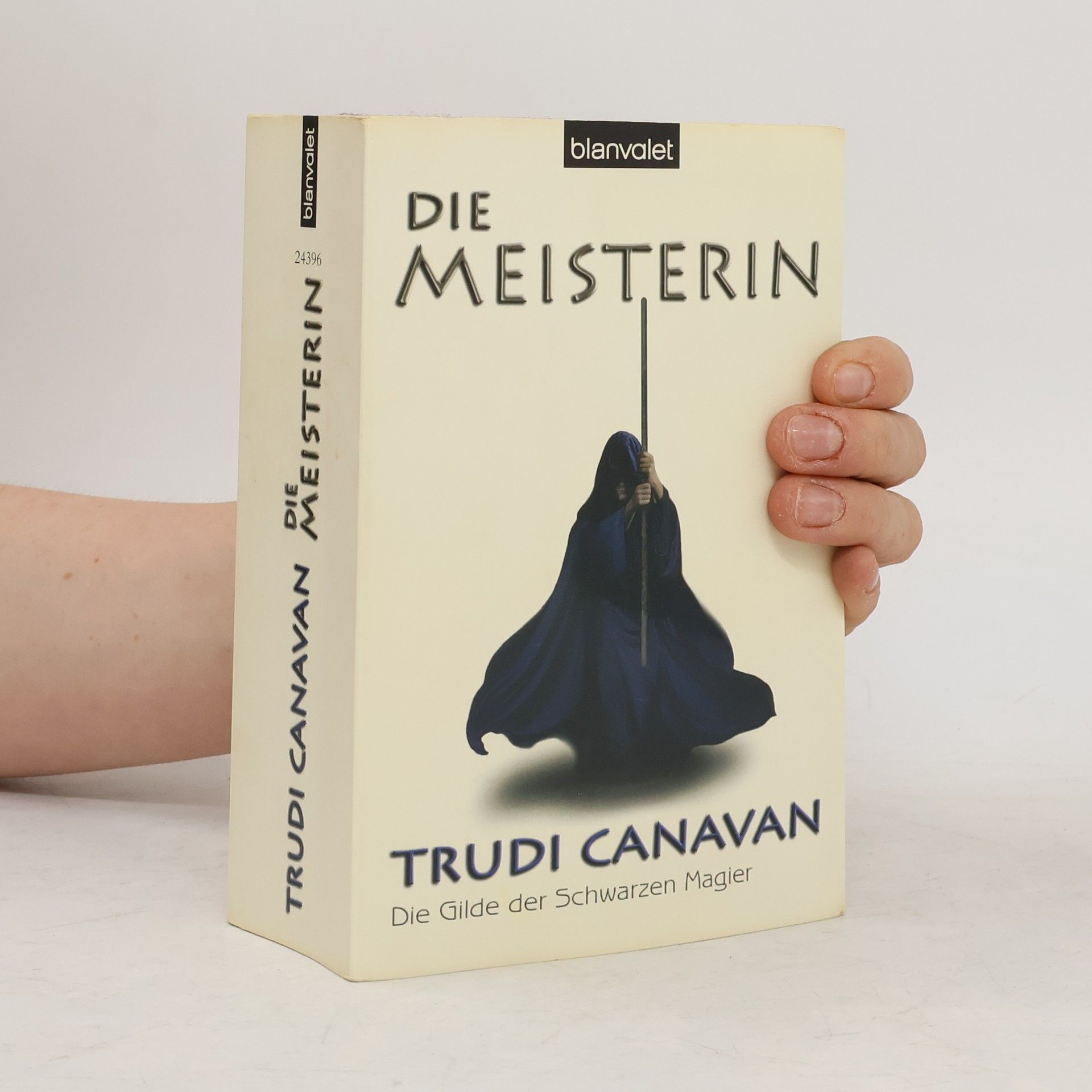 Trudi Canavan Die Meisterin